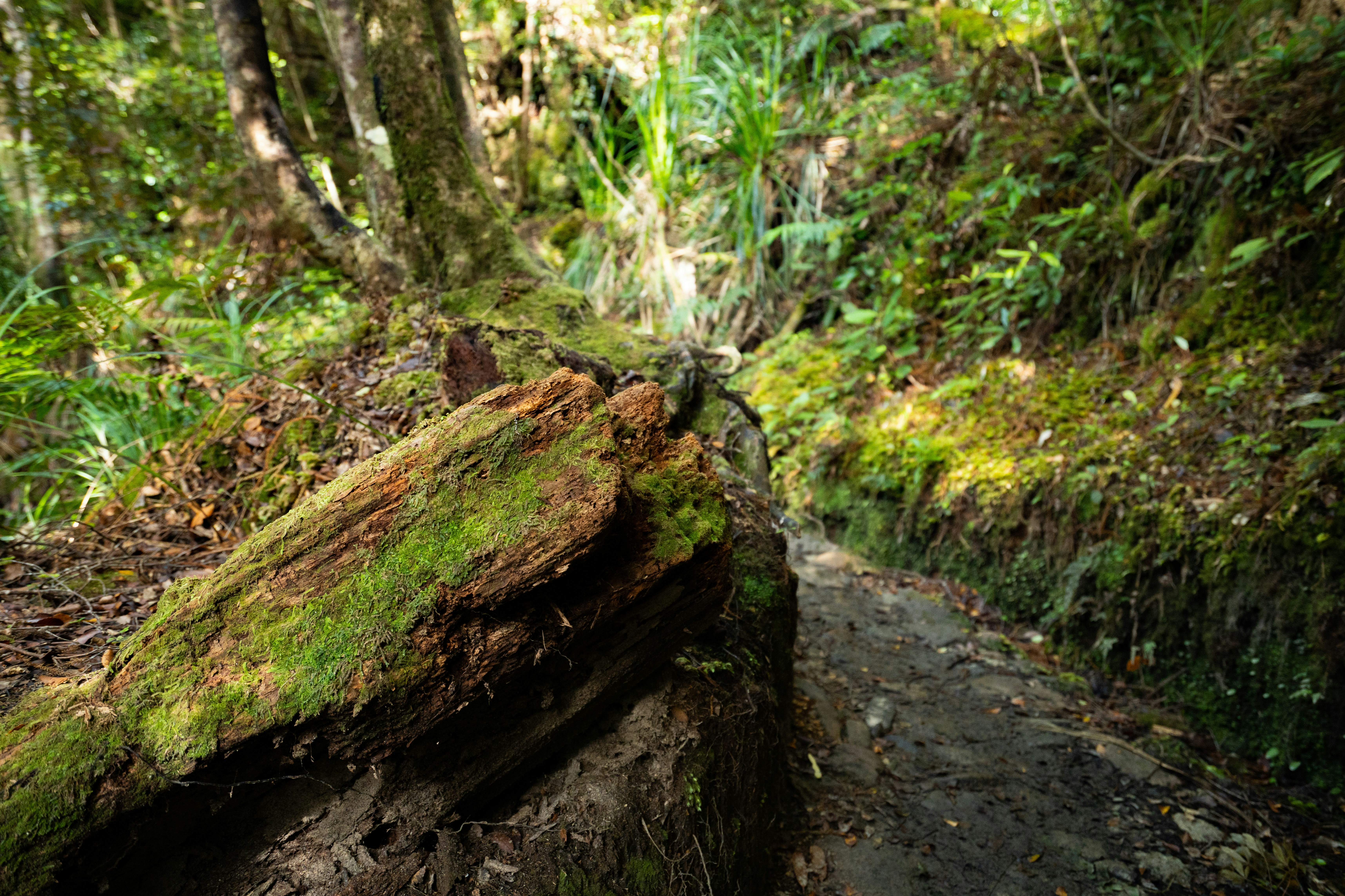 Photo by countingframez