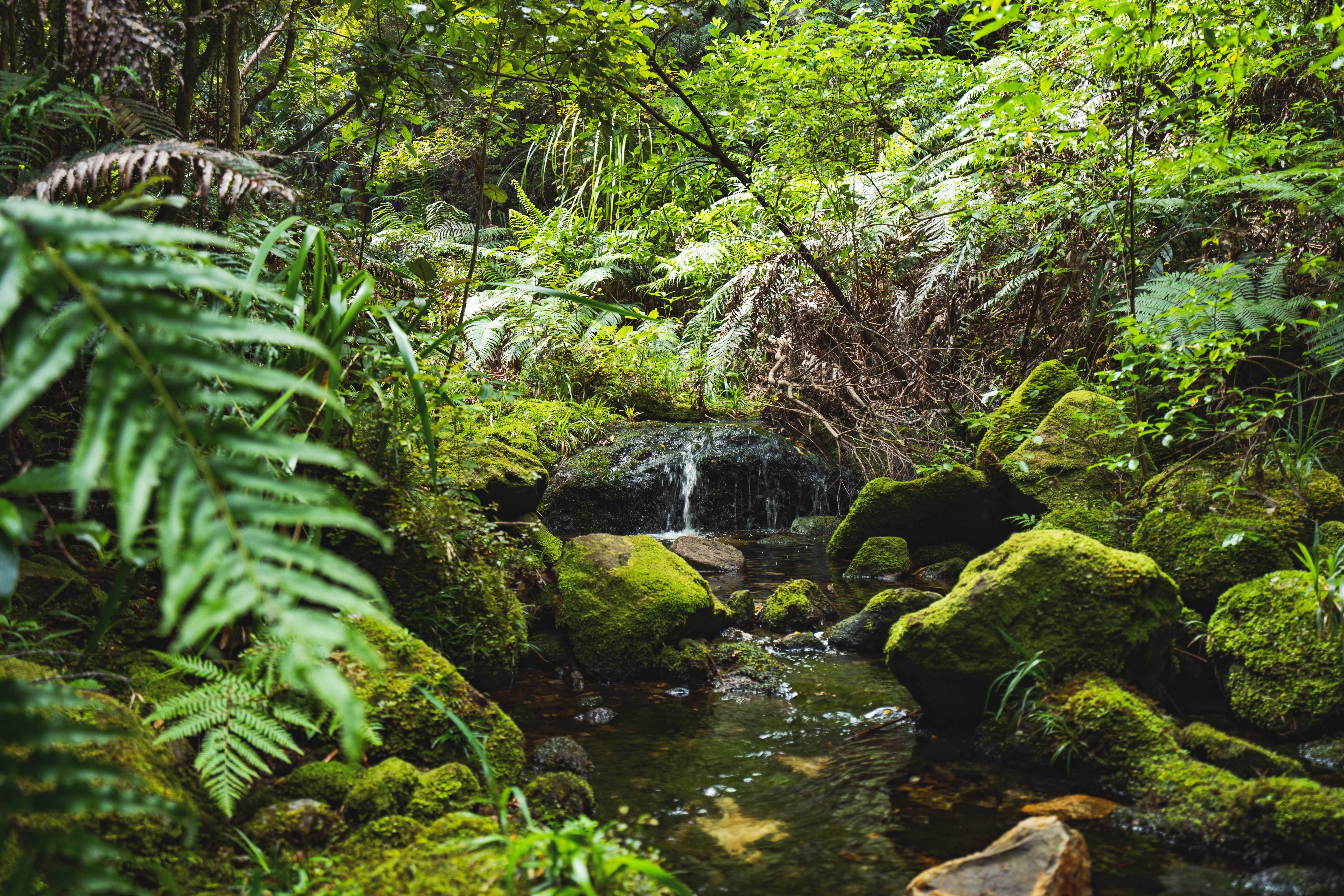 Photo by countingframez