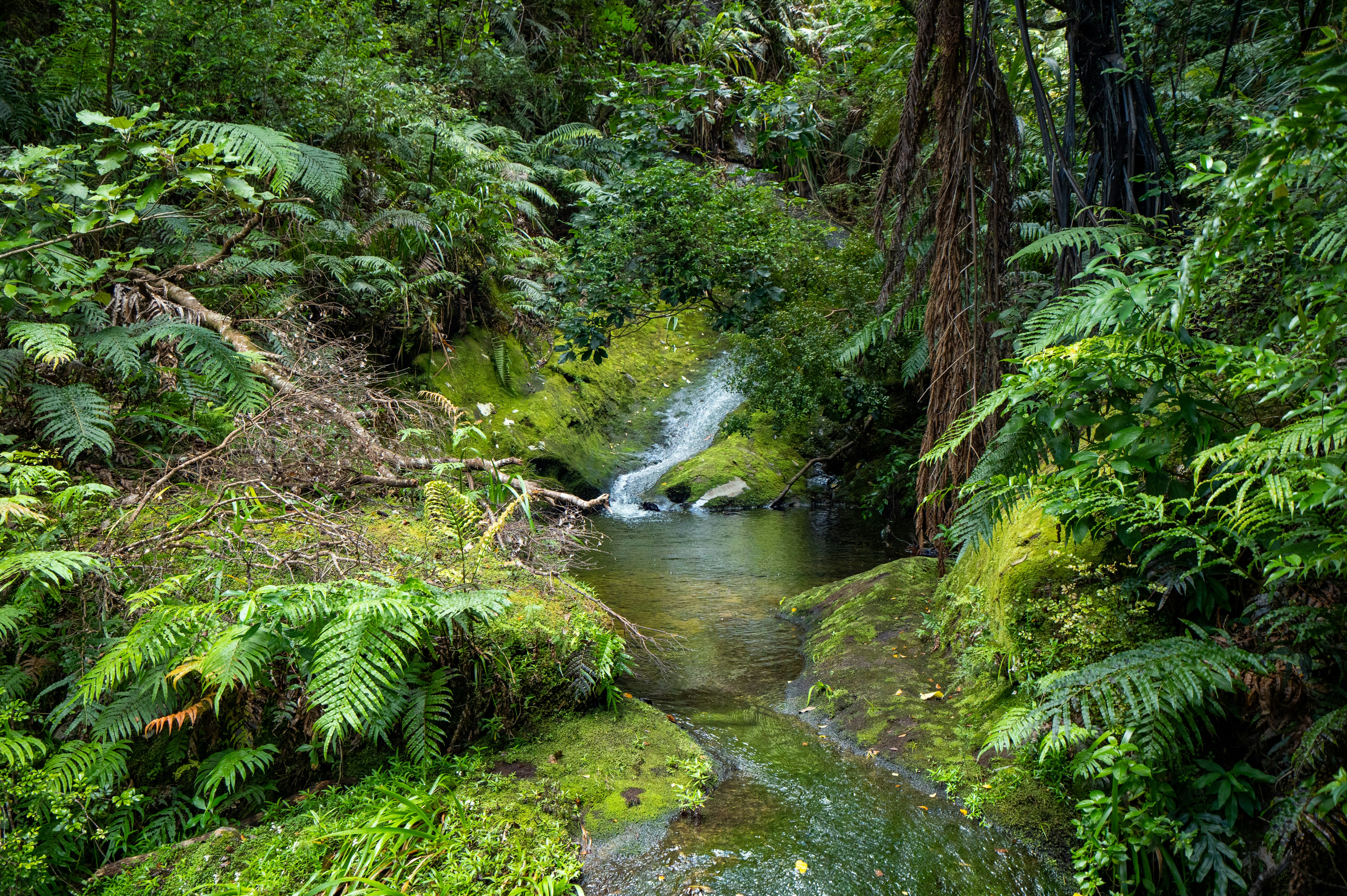 Photo by countingframez