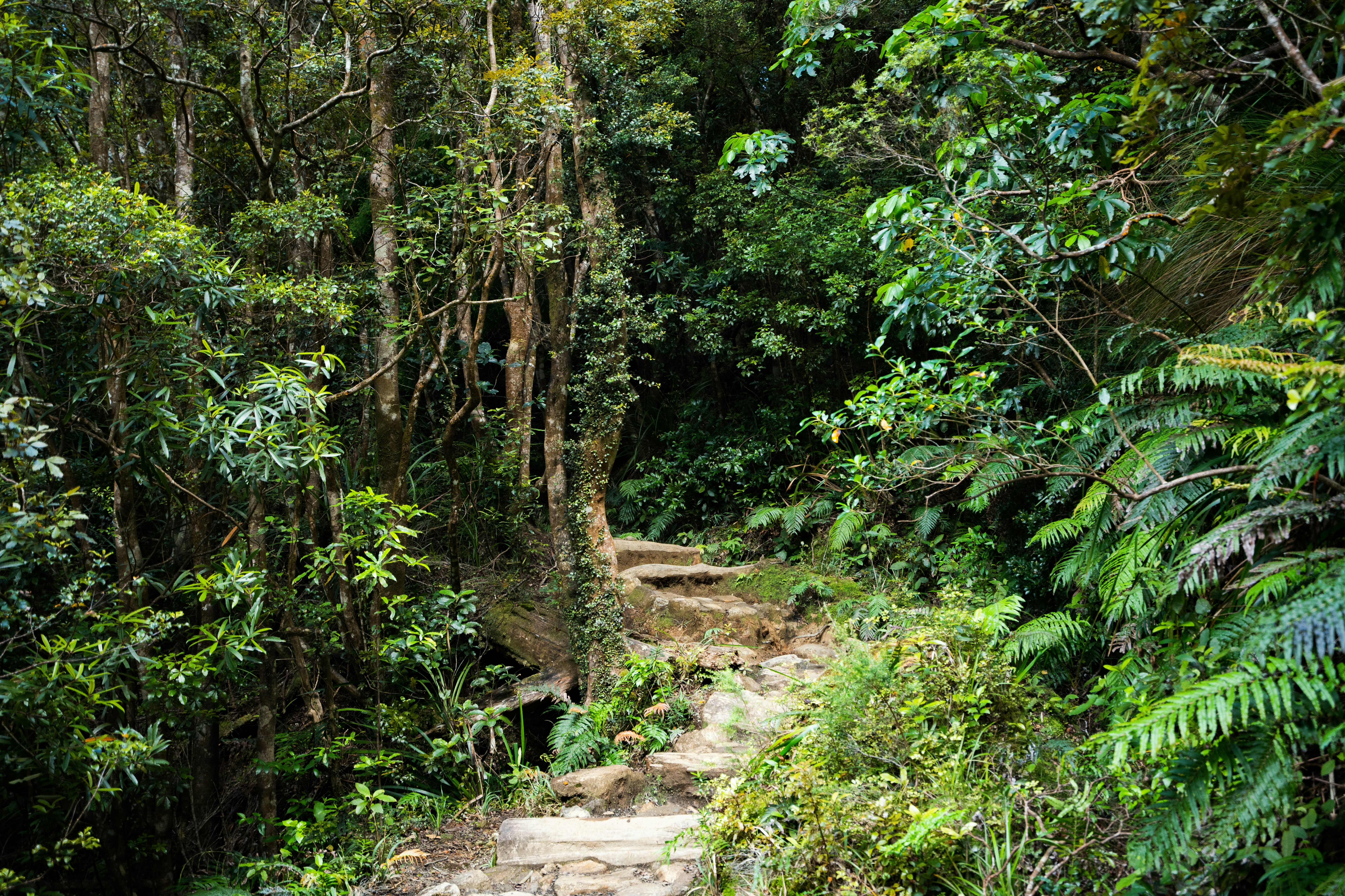 Photo by countingframez