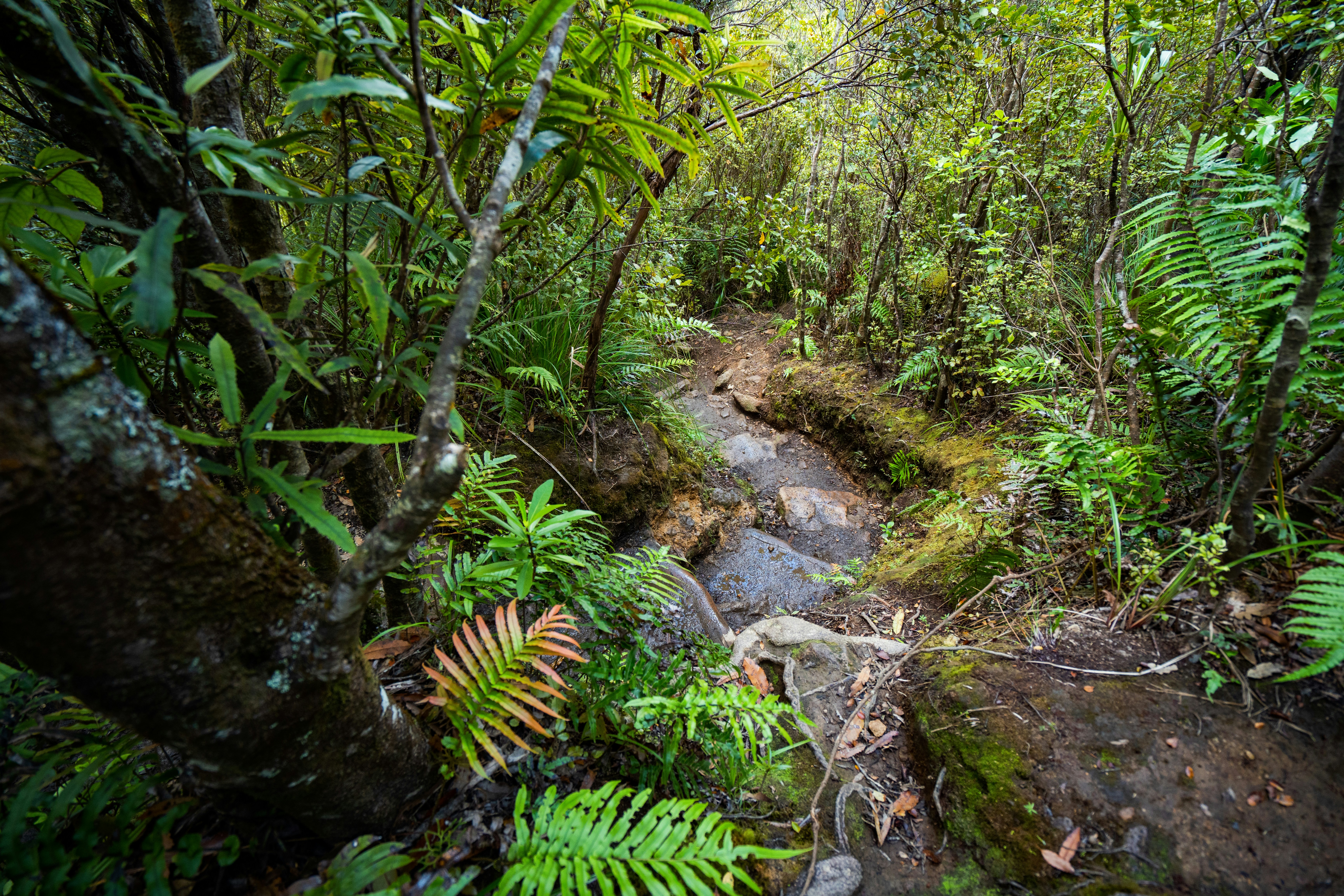 Photo by countingframez