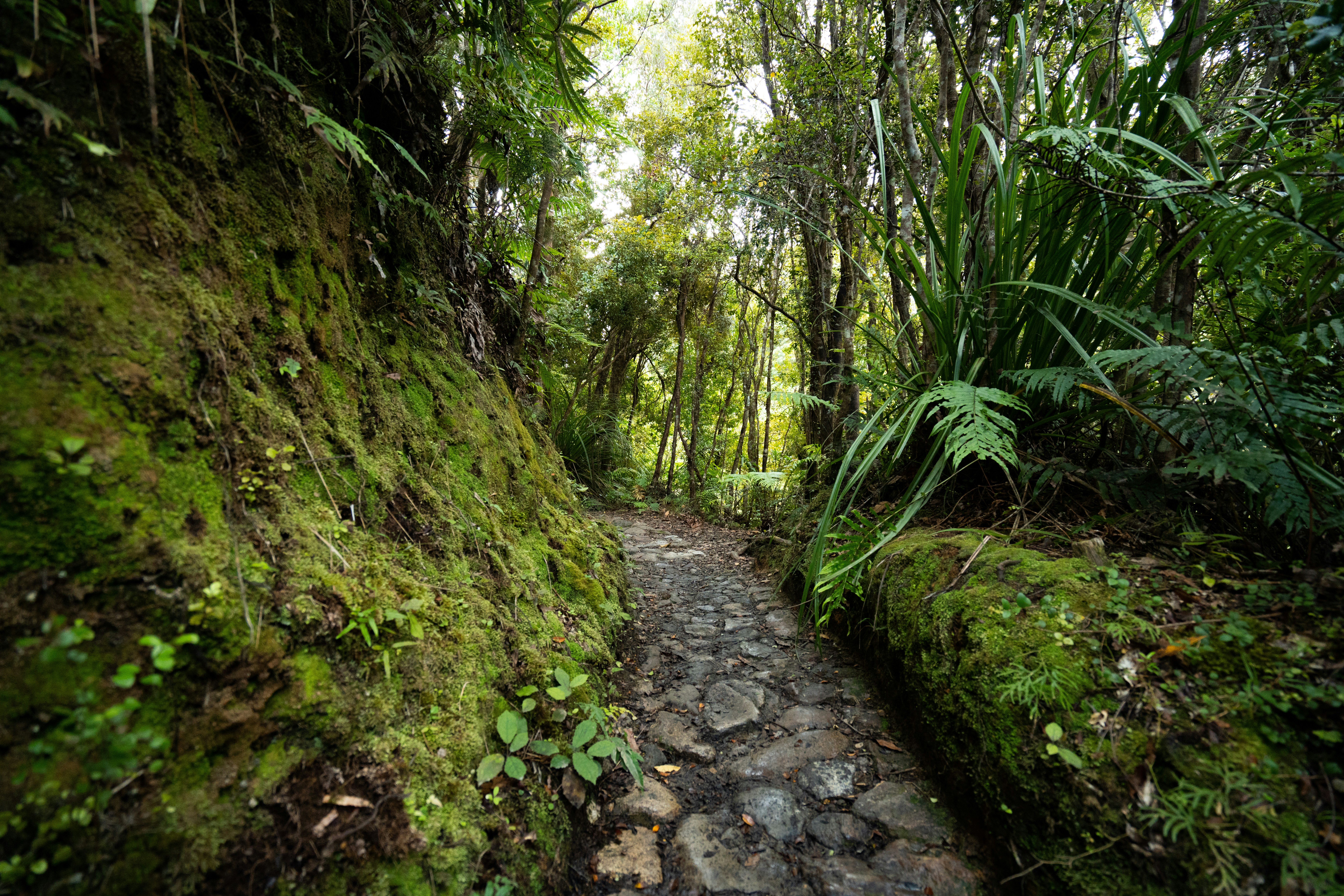 Photo by countingframez