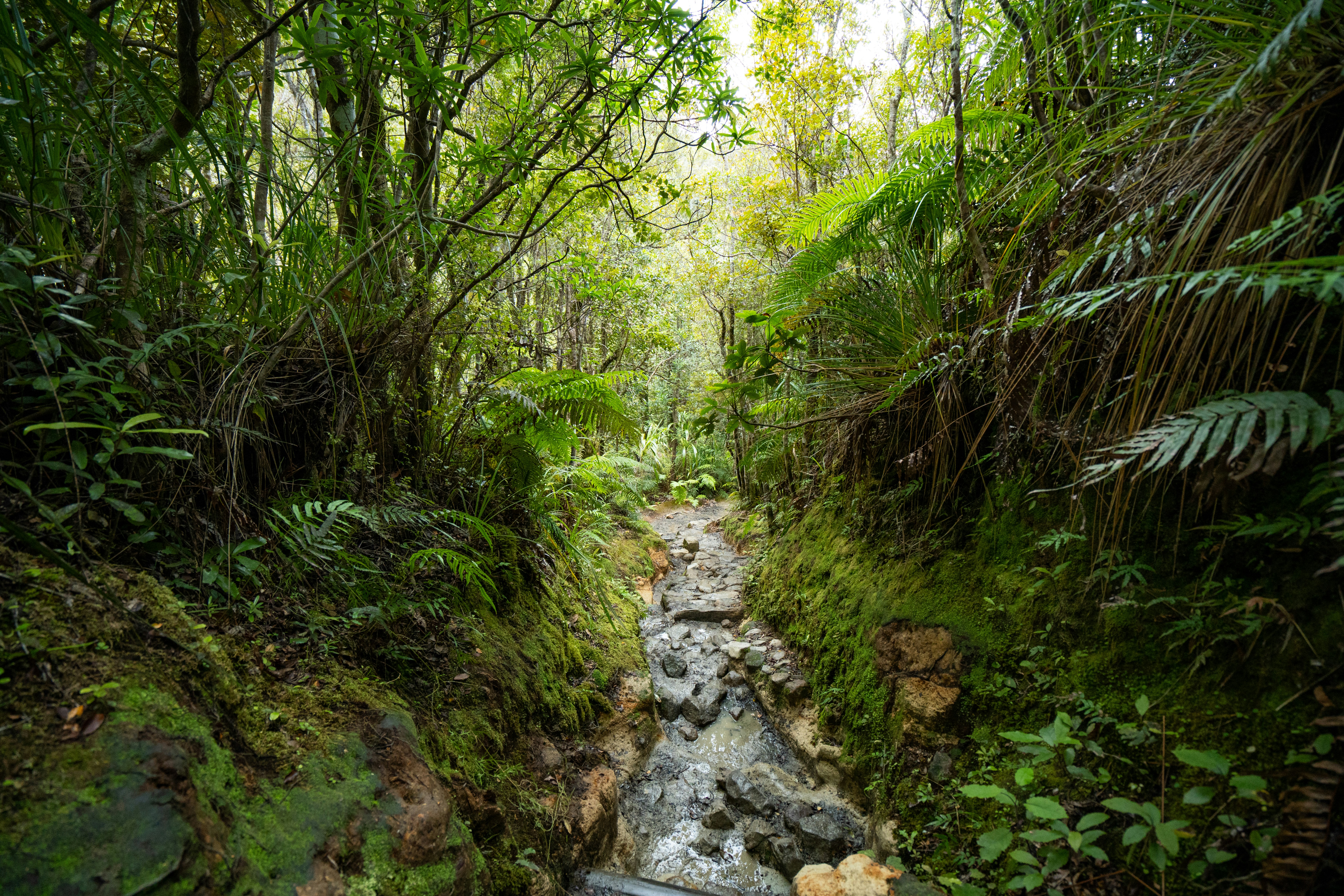 Photo by countingframez