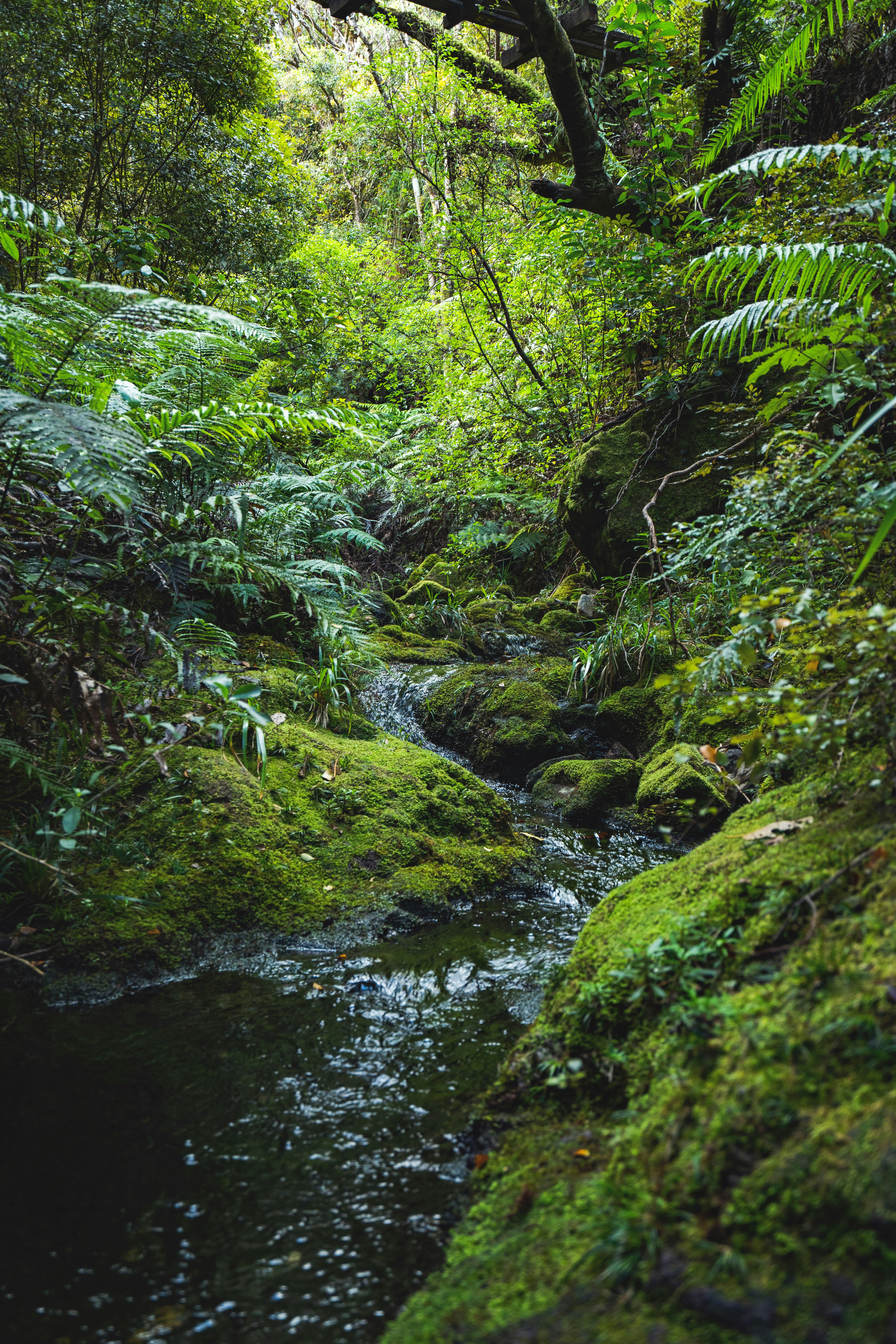 Photo by countingframez