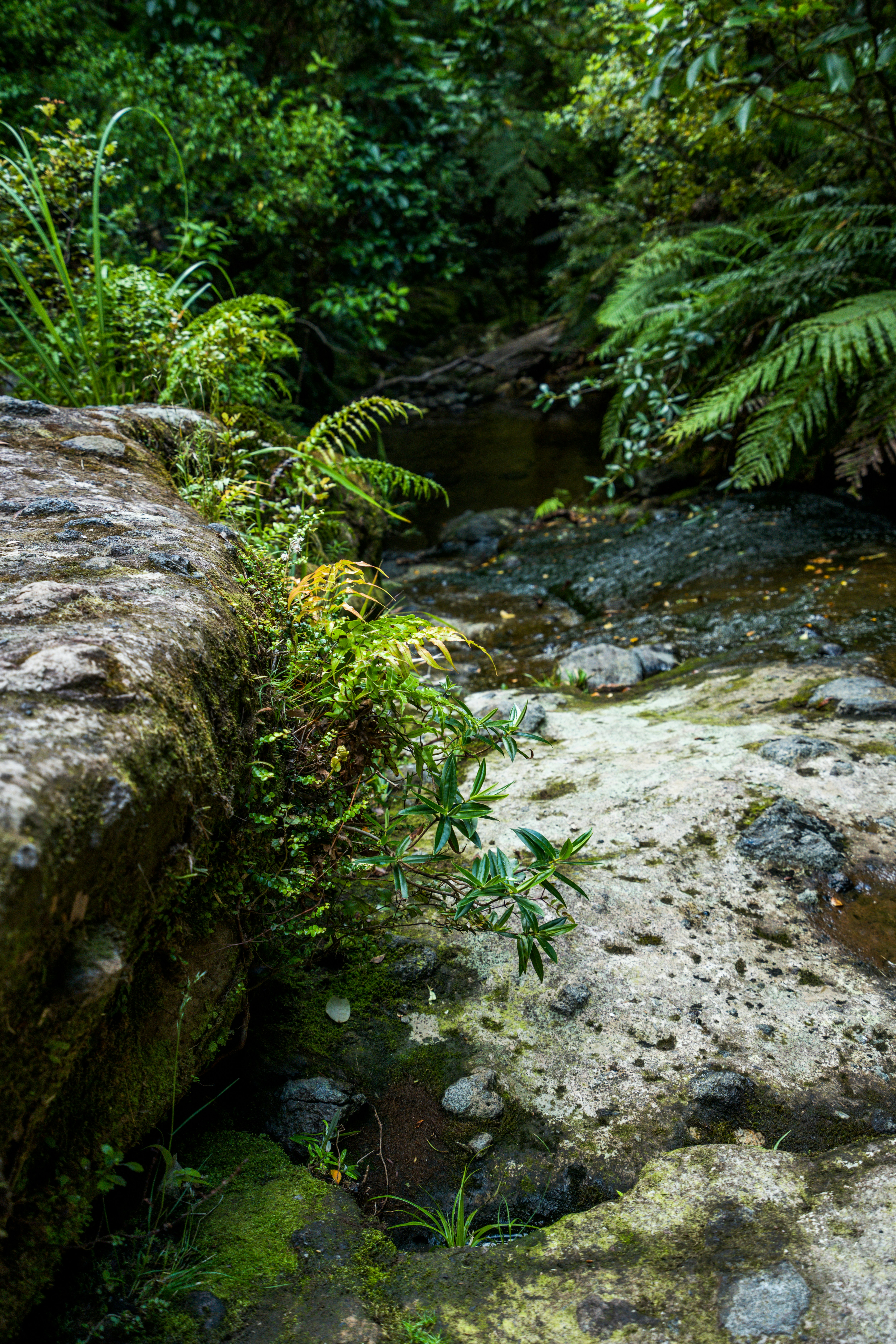 Photo by countingframez