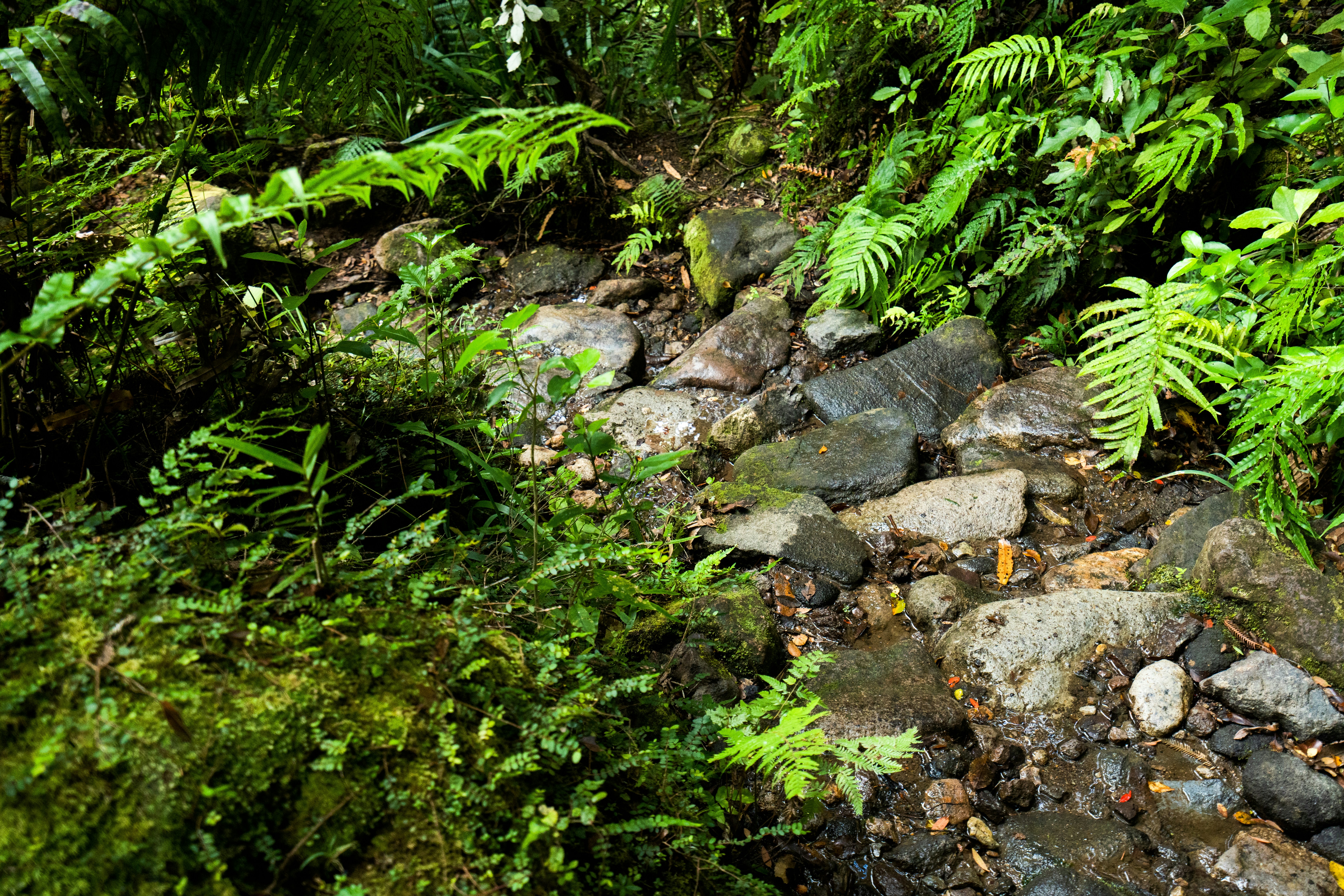 Photo by countingframez