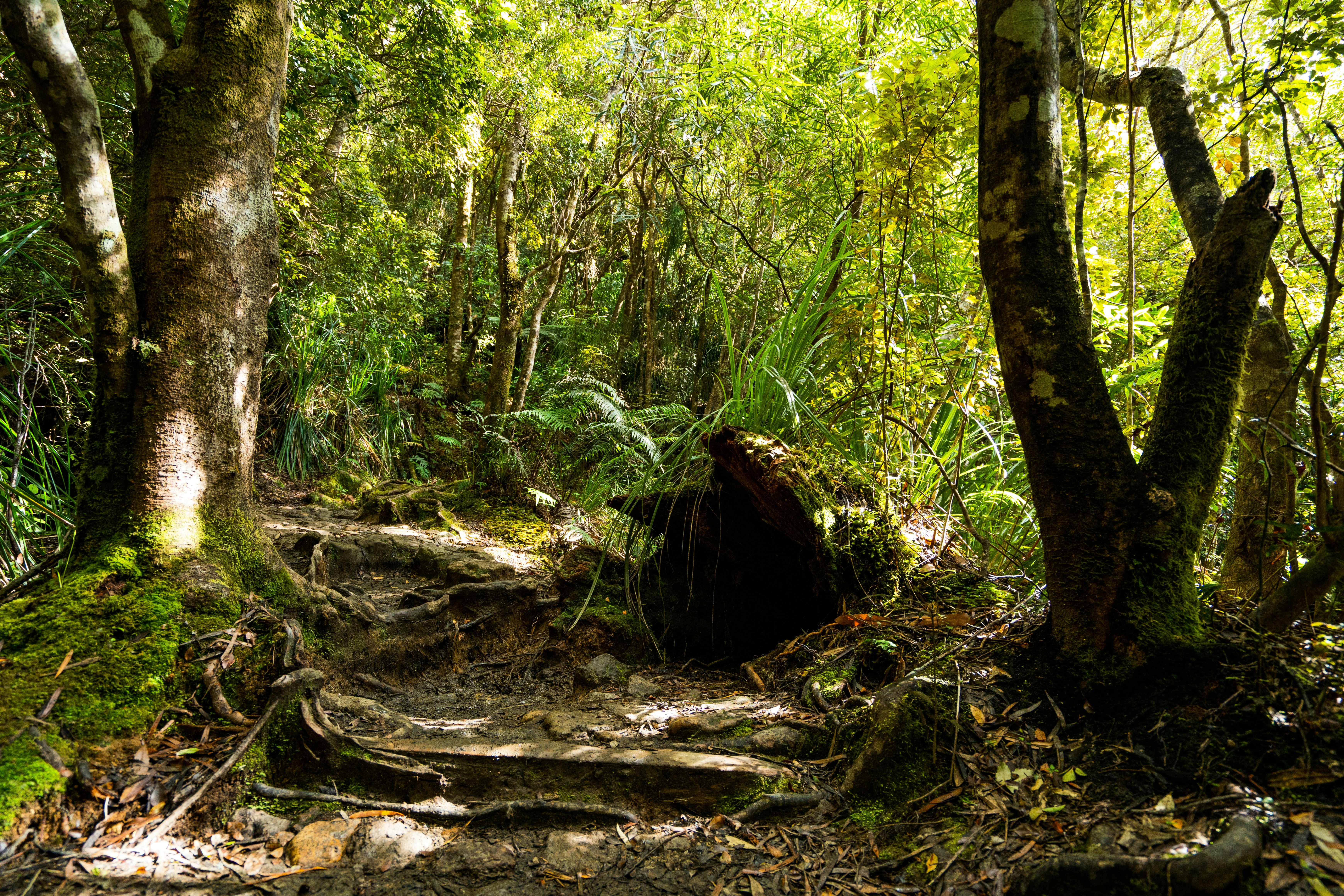 Photo by countingframez