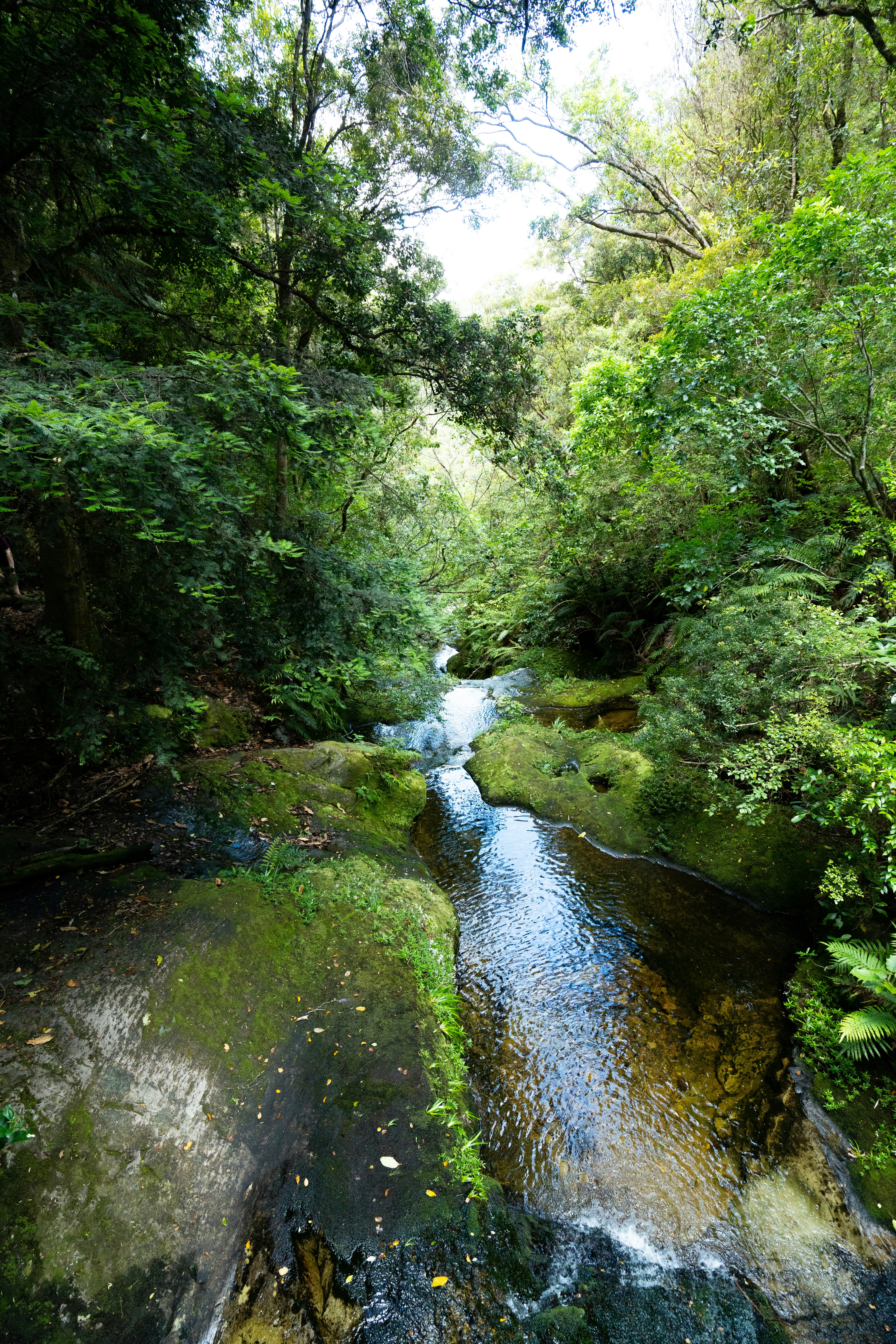 Photo by countingframez