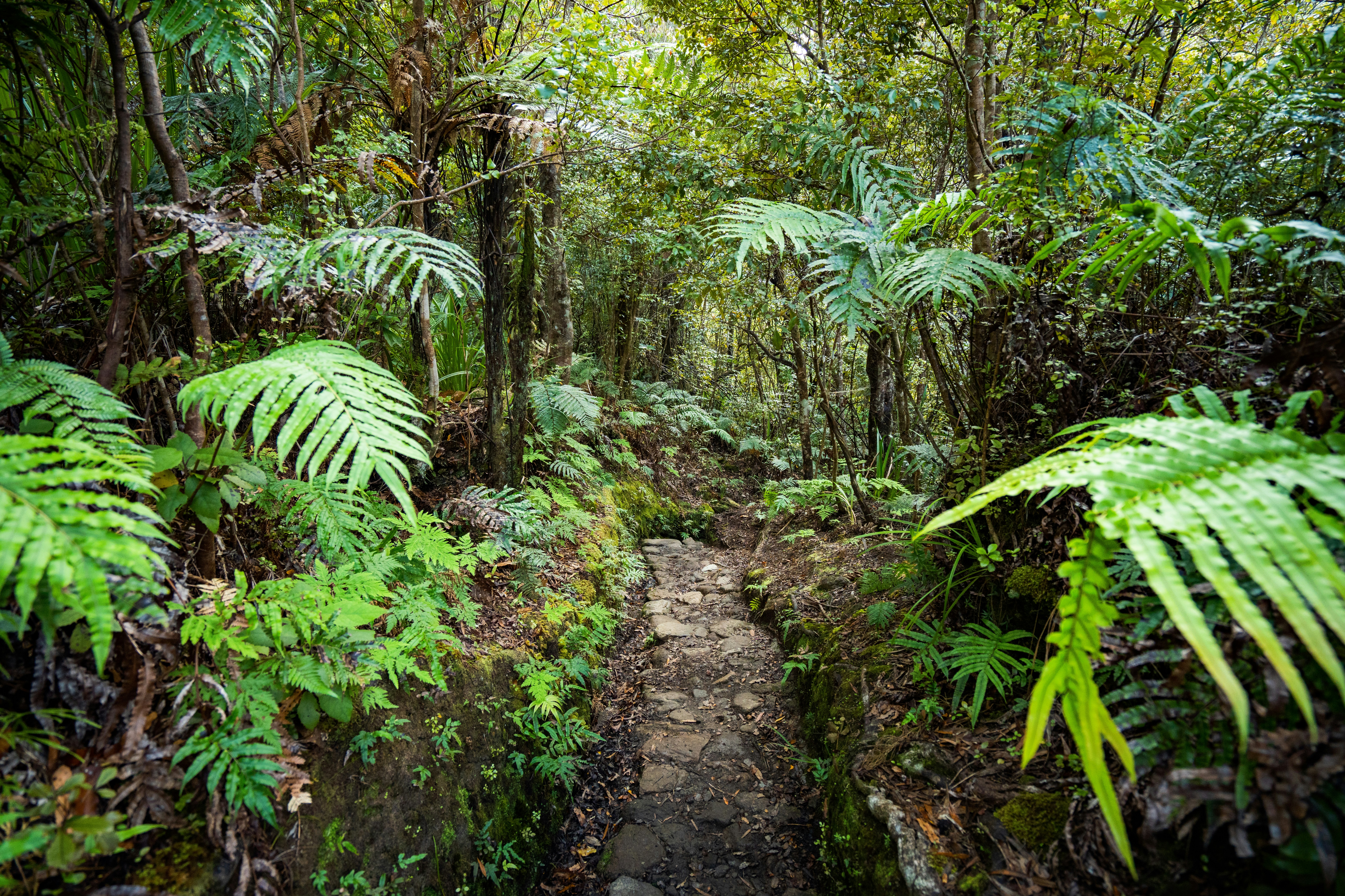 Photo by countingframez