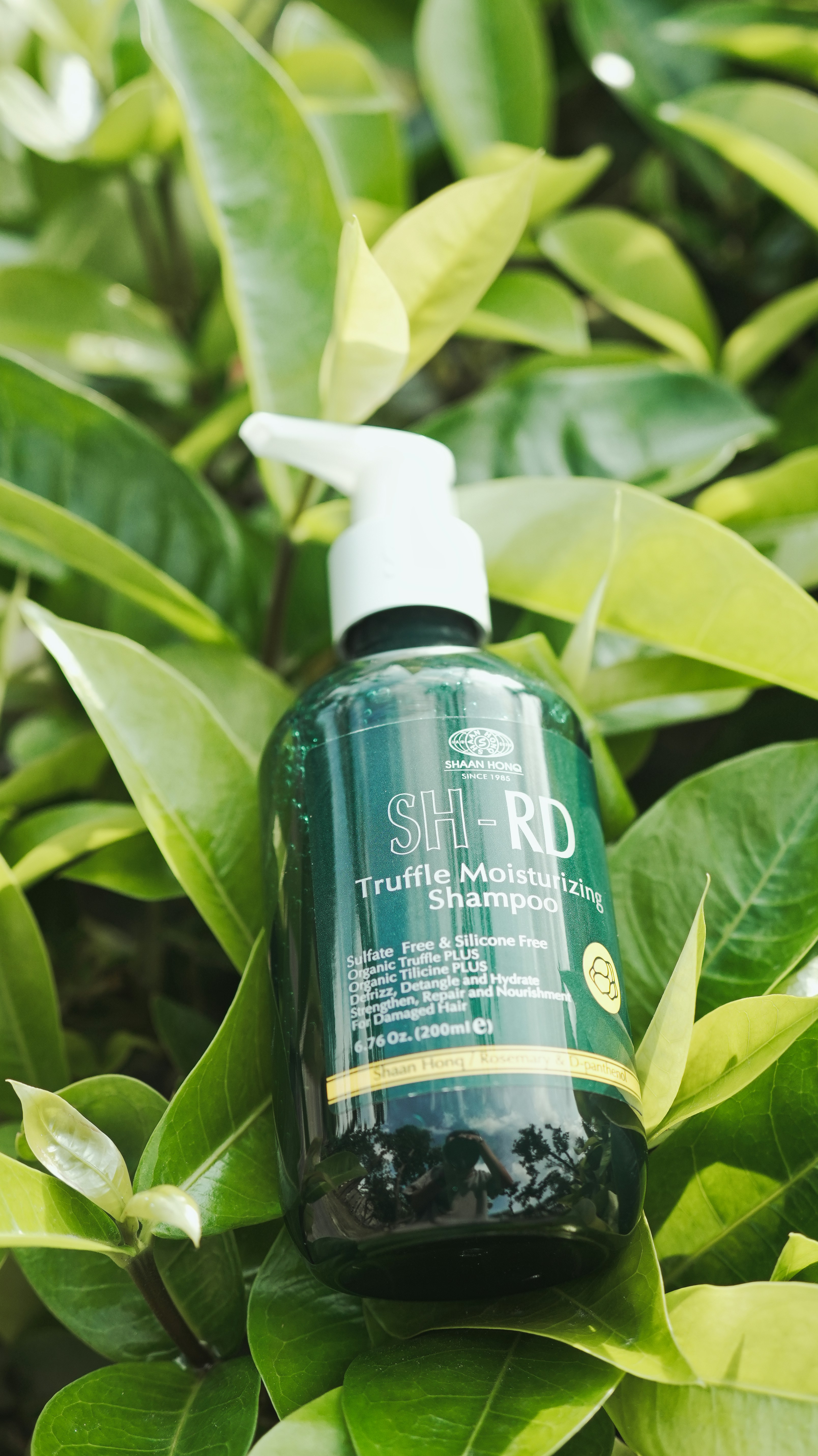 Luxurious deep conditioning treatment