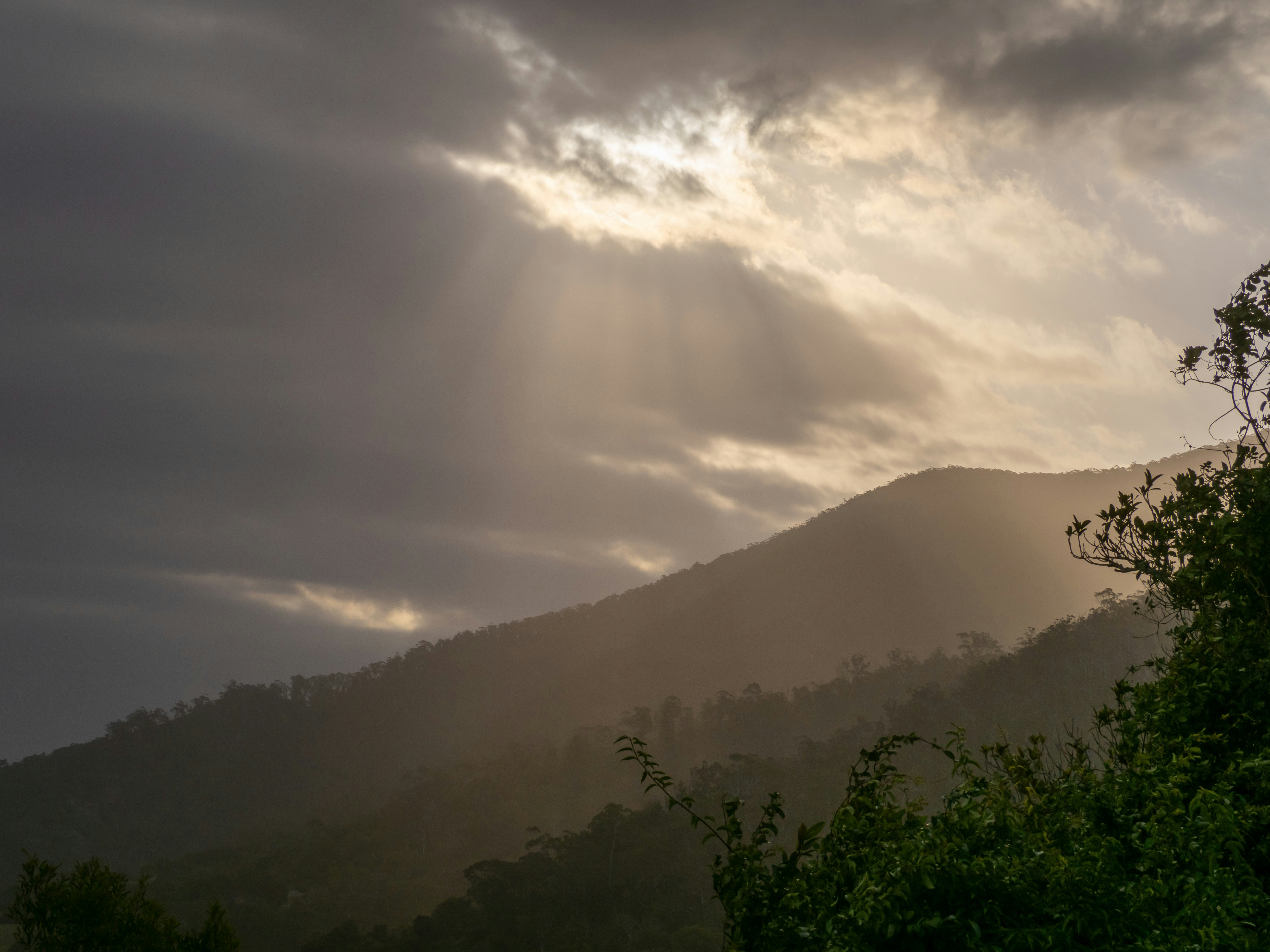 Photo by arnold_zhou