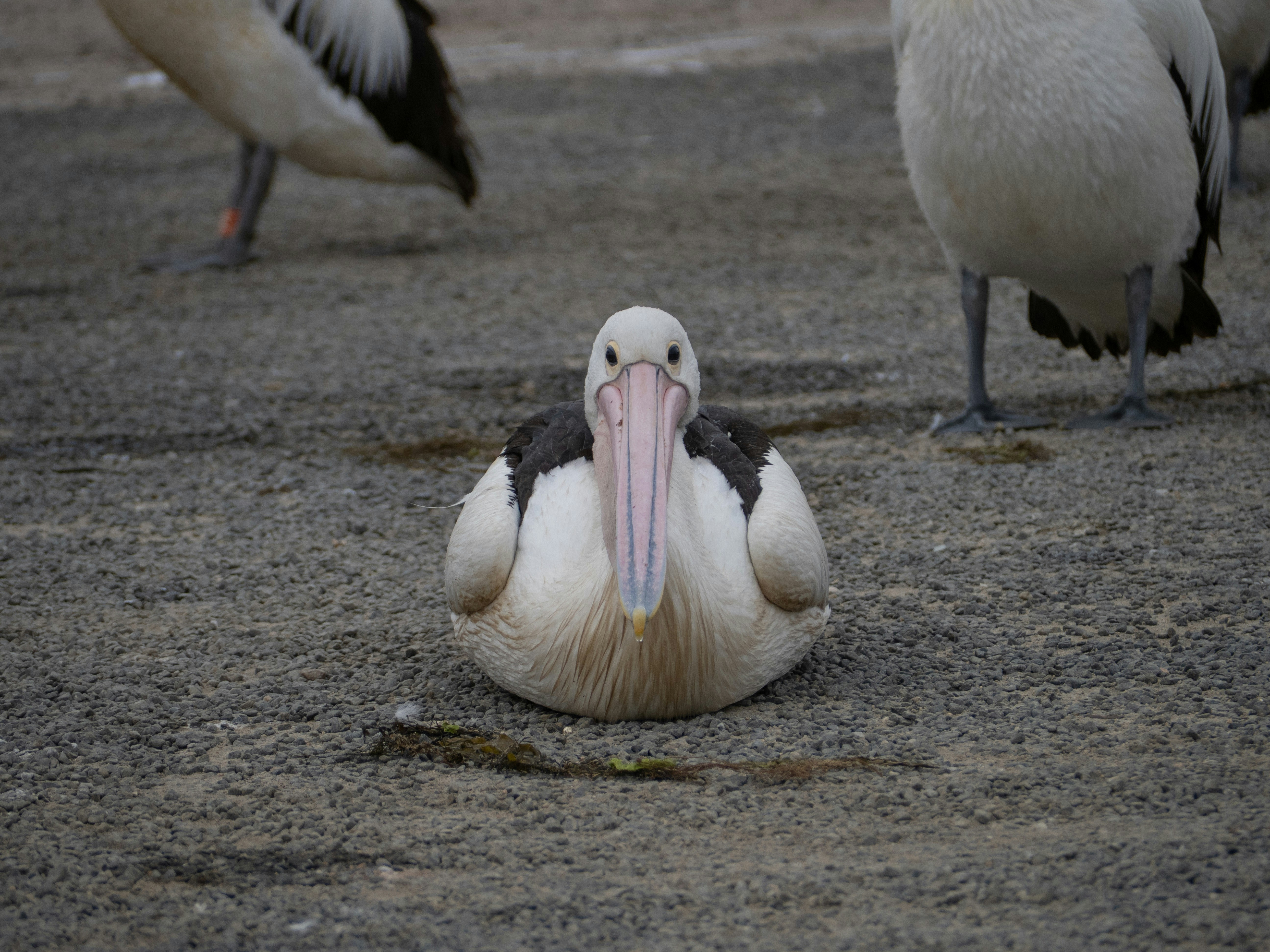 Photo by arnold_zhou