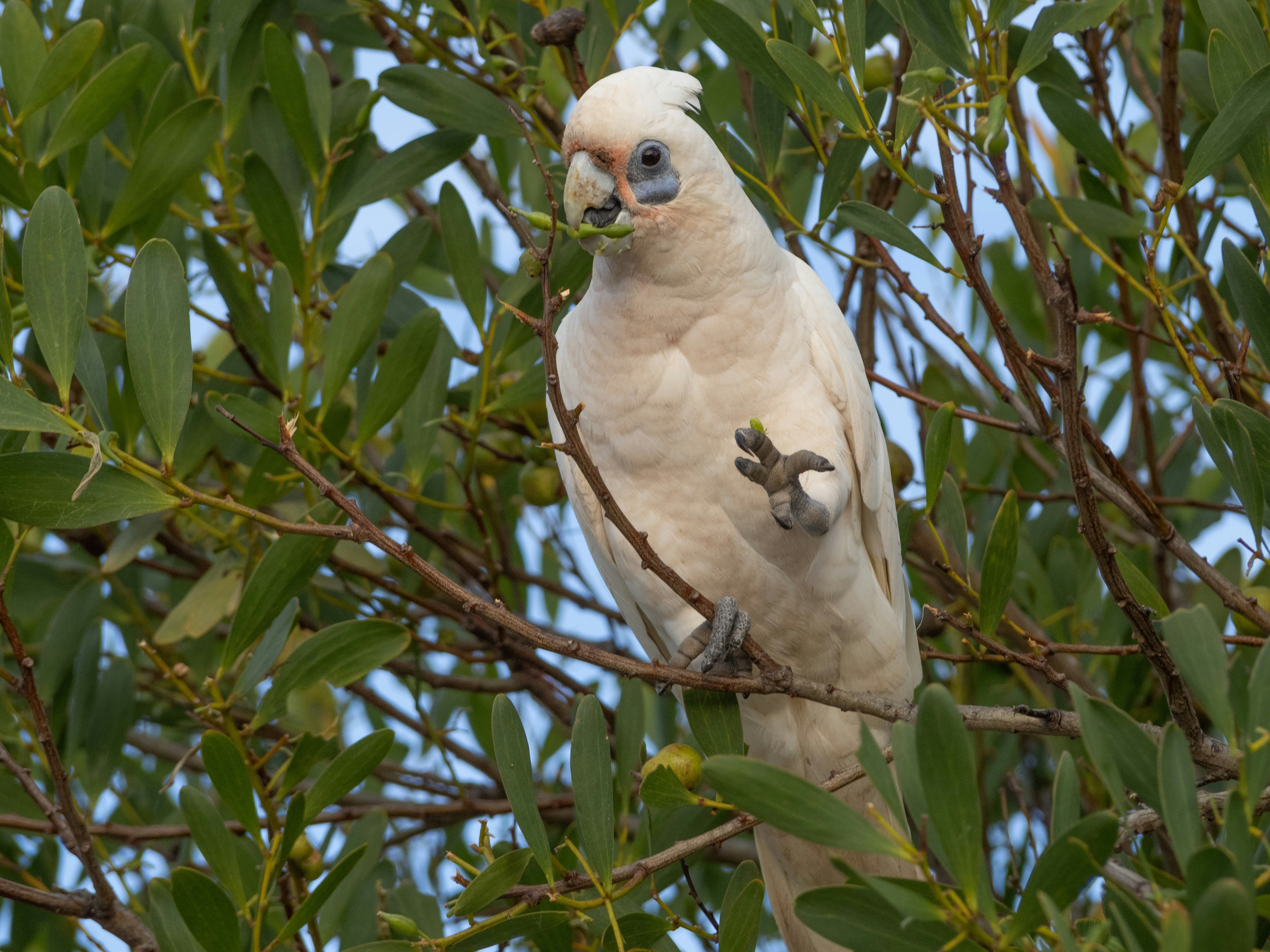 Photo by arnold_zhou