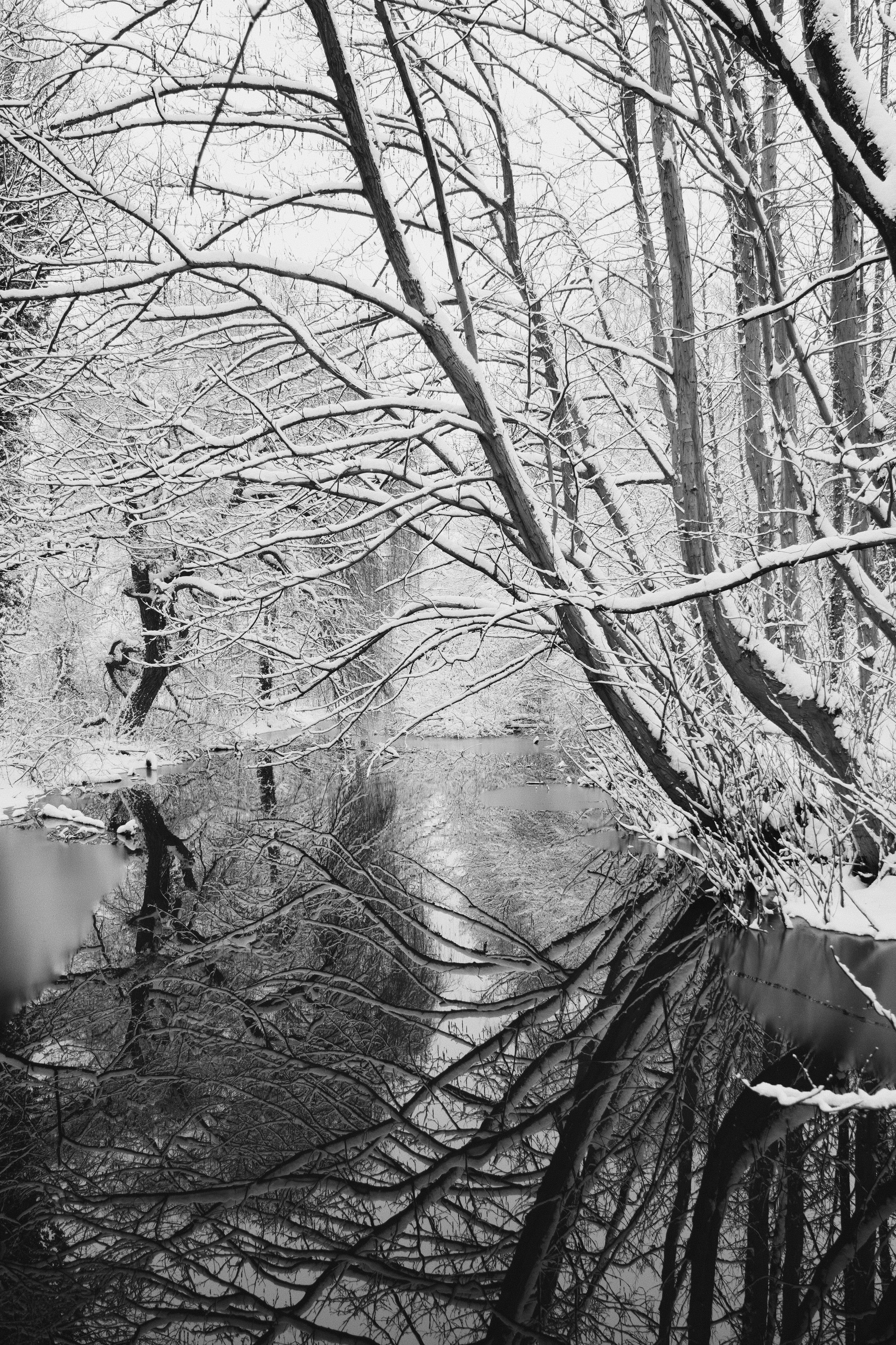 Ein veröffentlichtes Foto