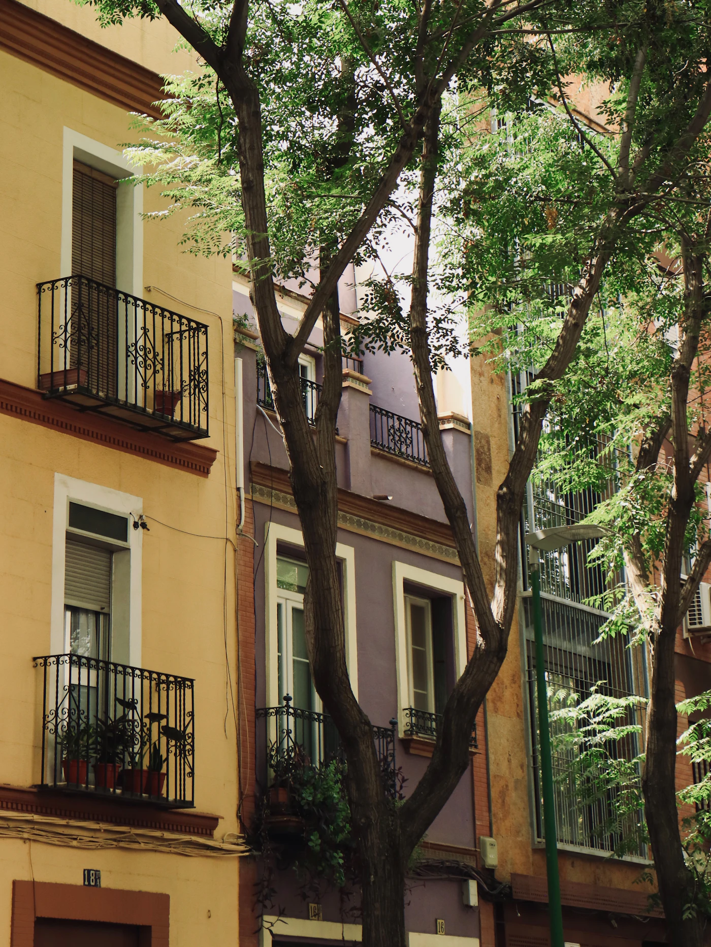 Colorful residential buildings with wrought-iron balconies on a Seville street