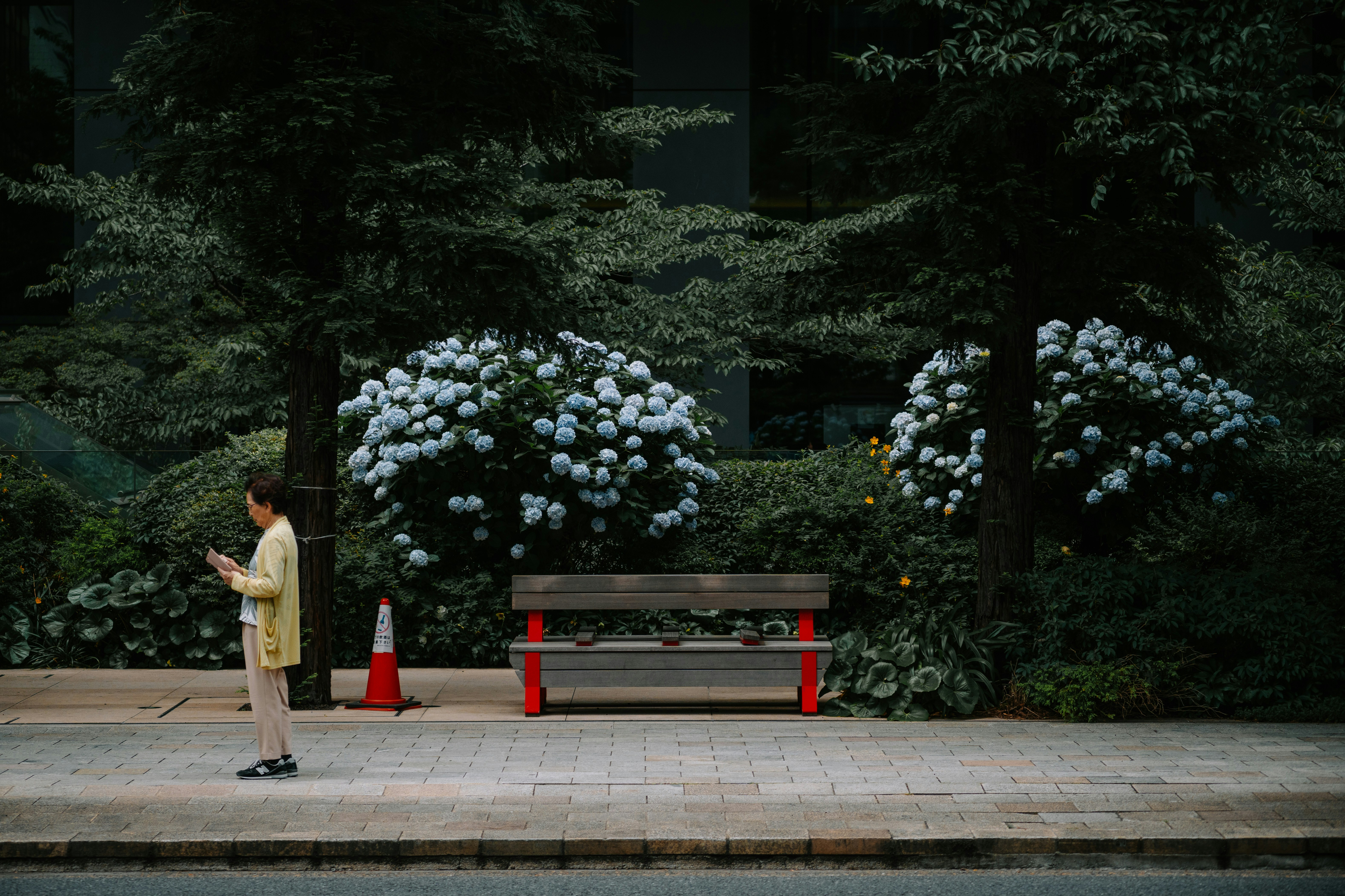 Person looking at phone on sidewalk near bench and bushes