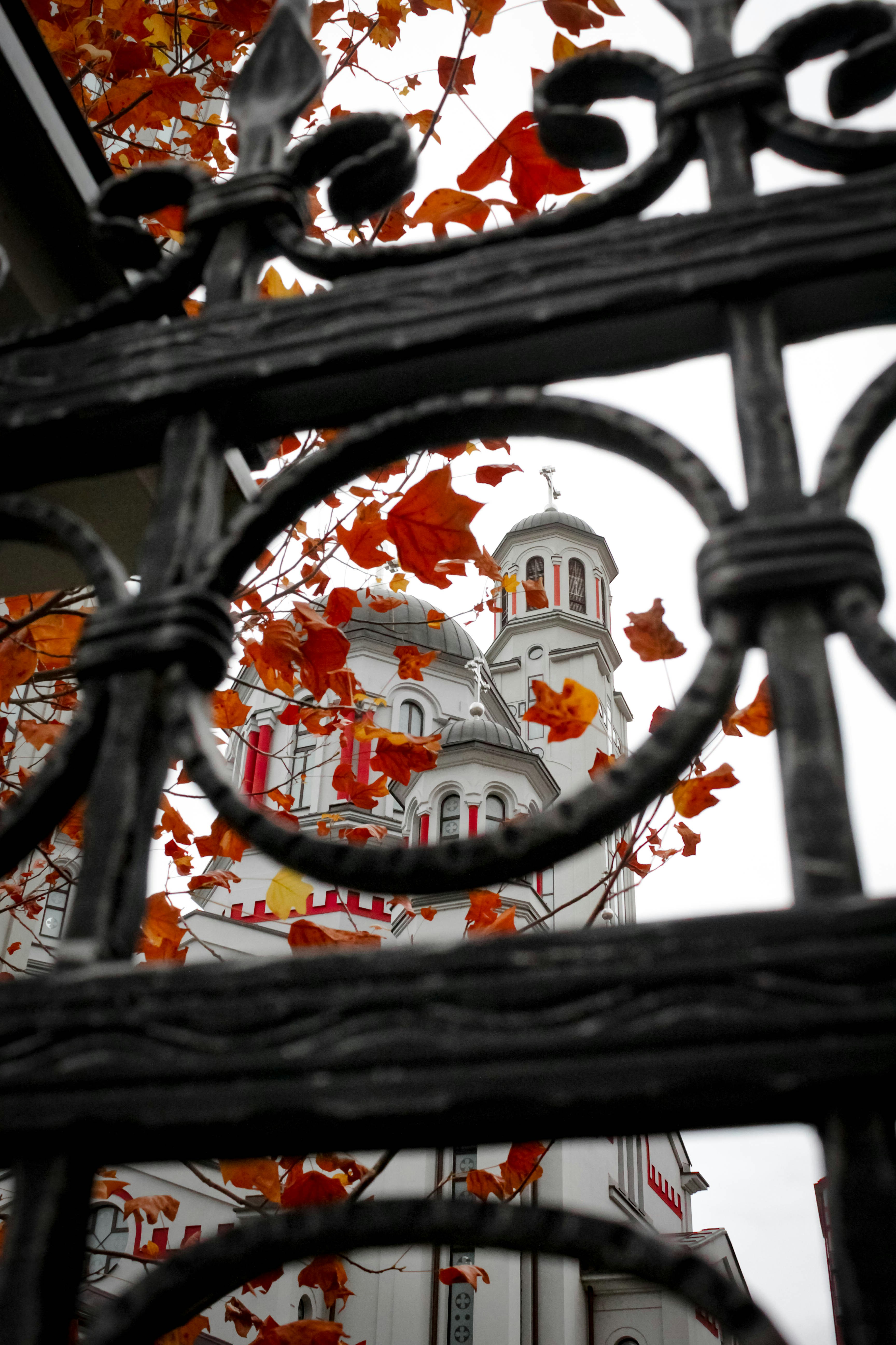 White church building seen through autumn leaves and gate.