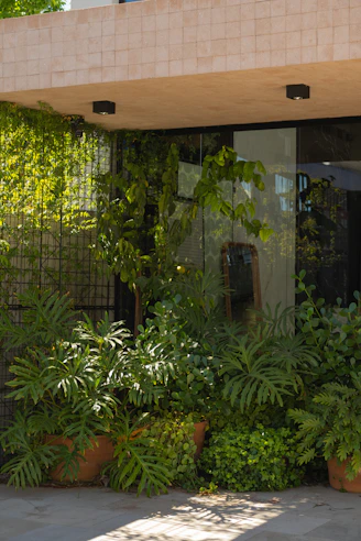 Lush green plants and vines growing outside building