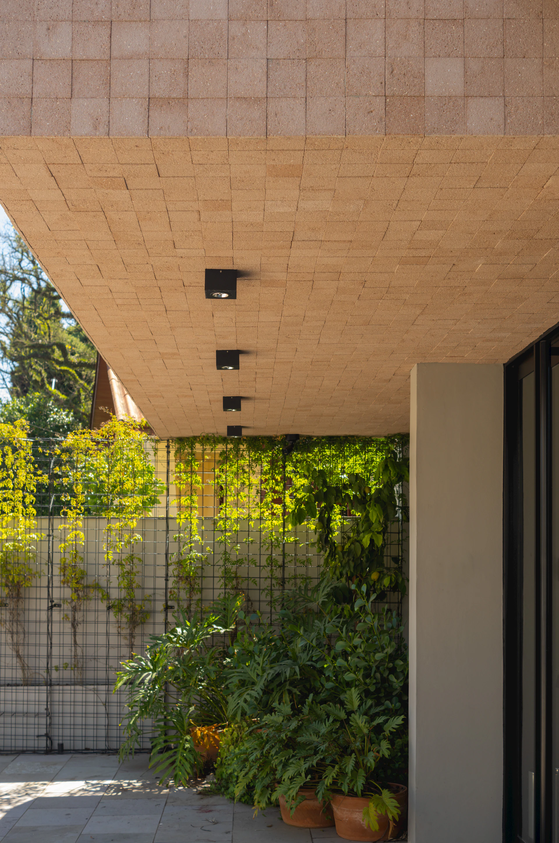 Modern building with lush green plants and outdoor lighting.
