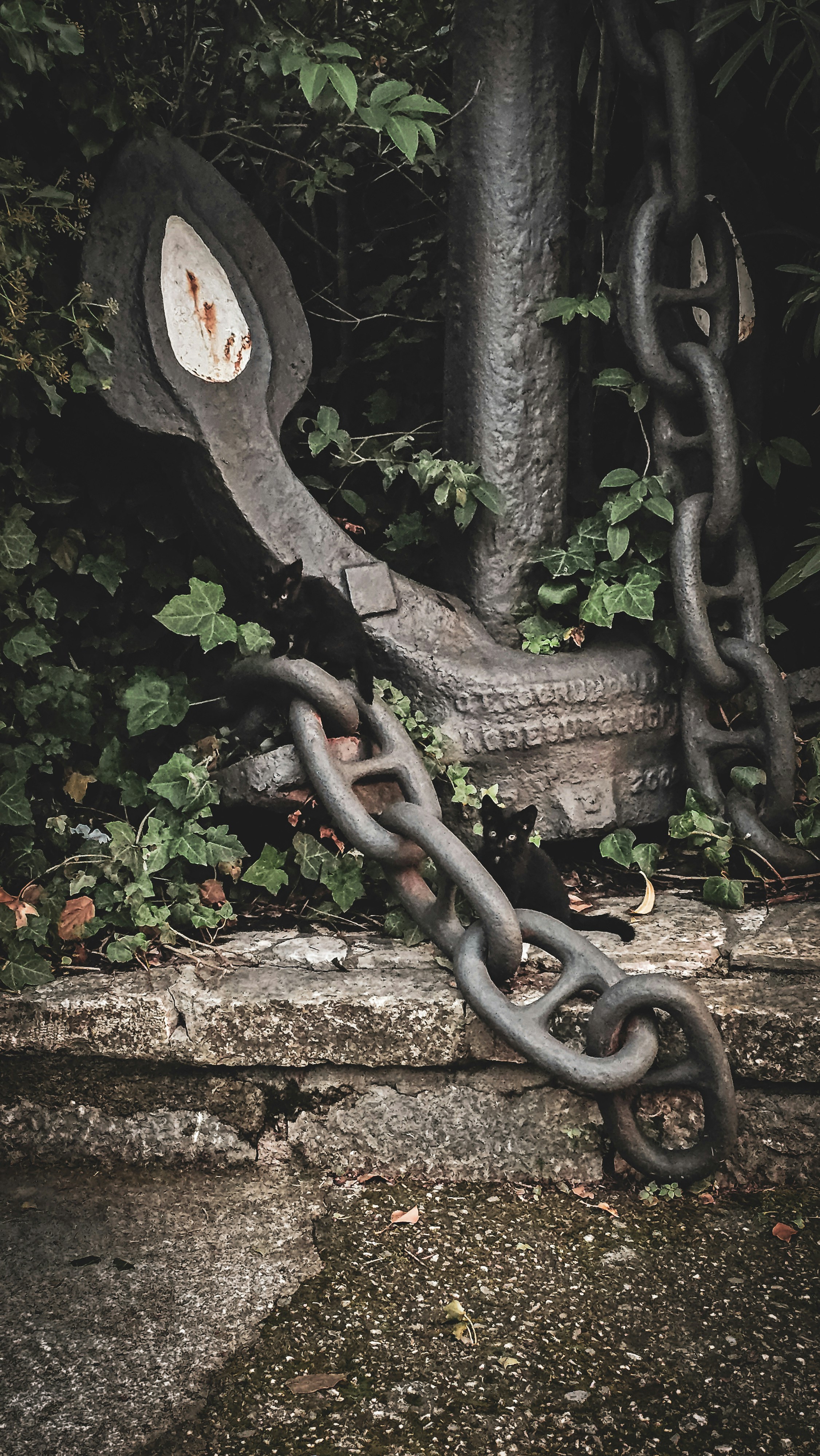 Two black cats near an old anchor and chain.