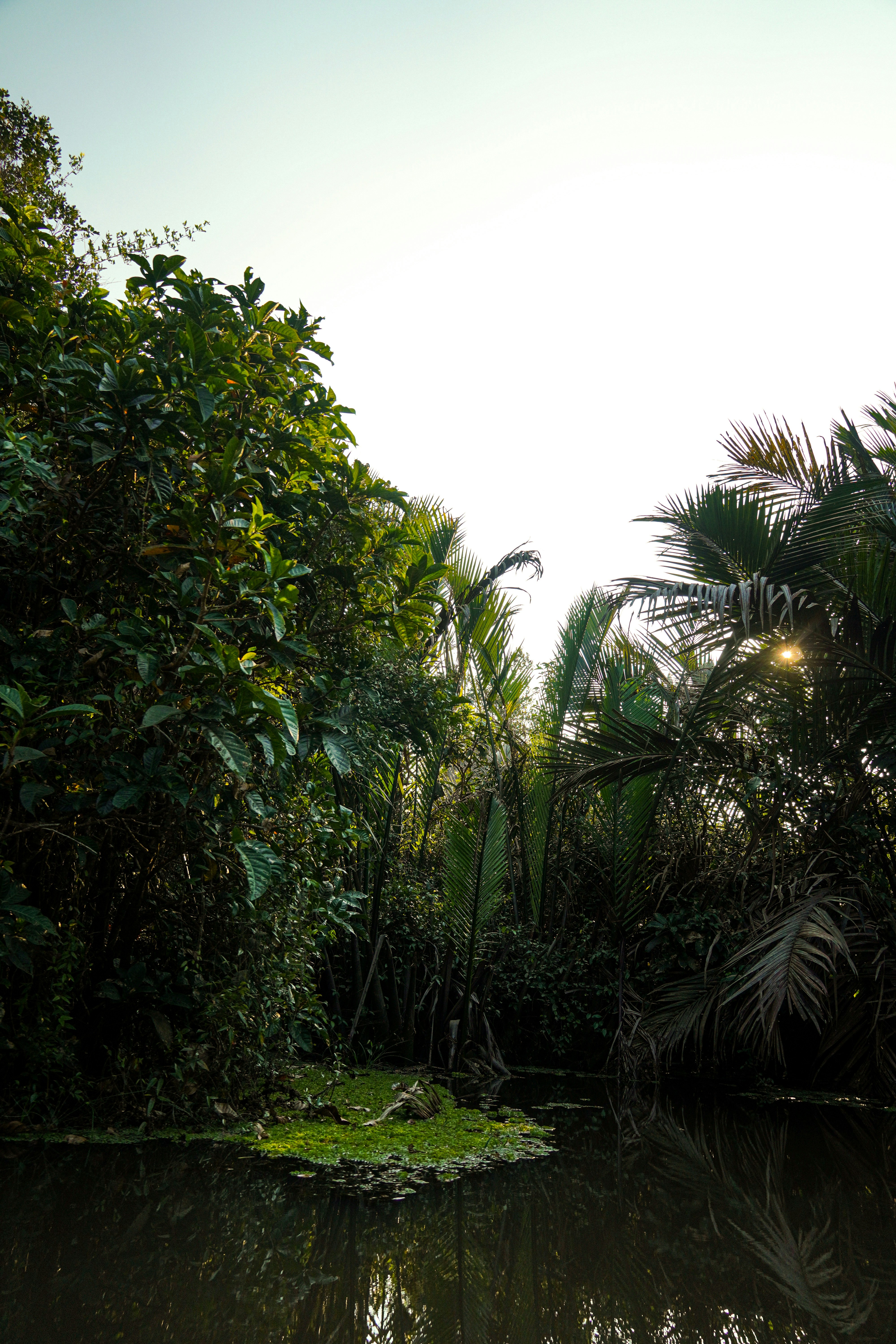 Photo by mutiarasal_