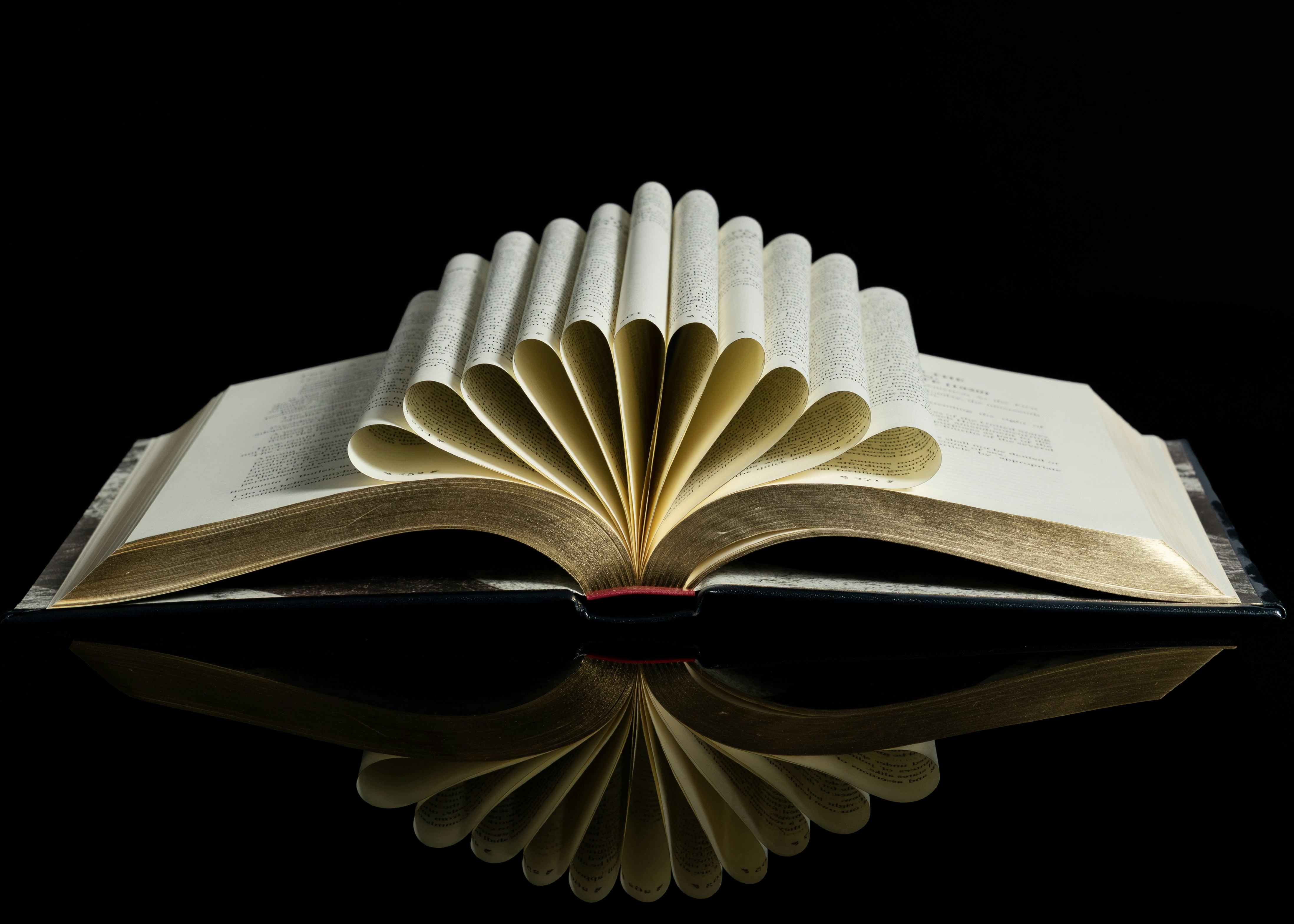 Photo by purplepanther761