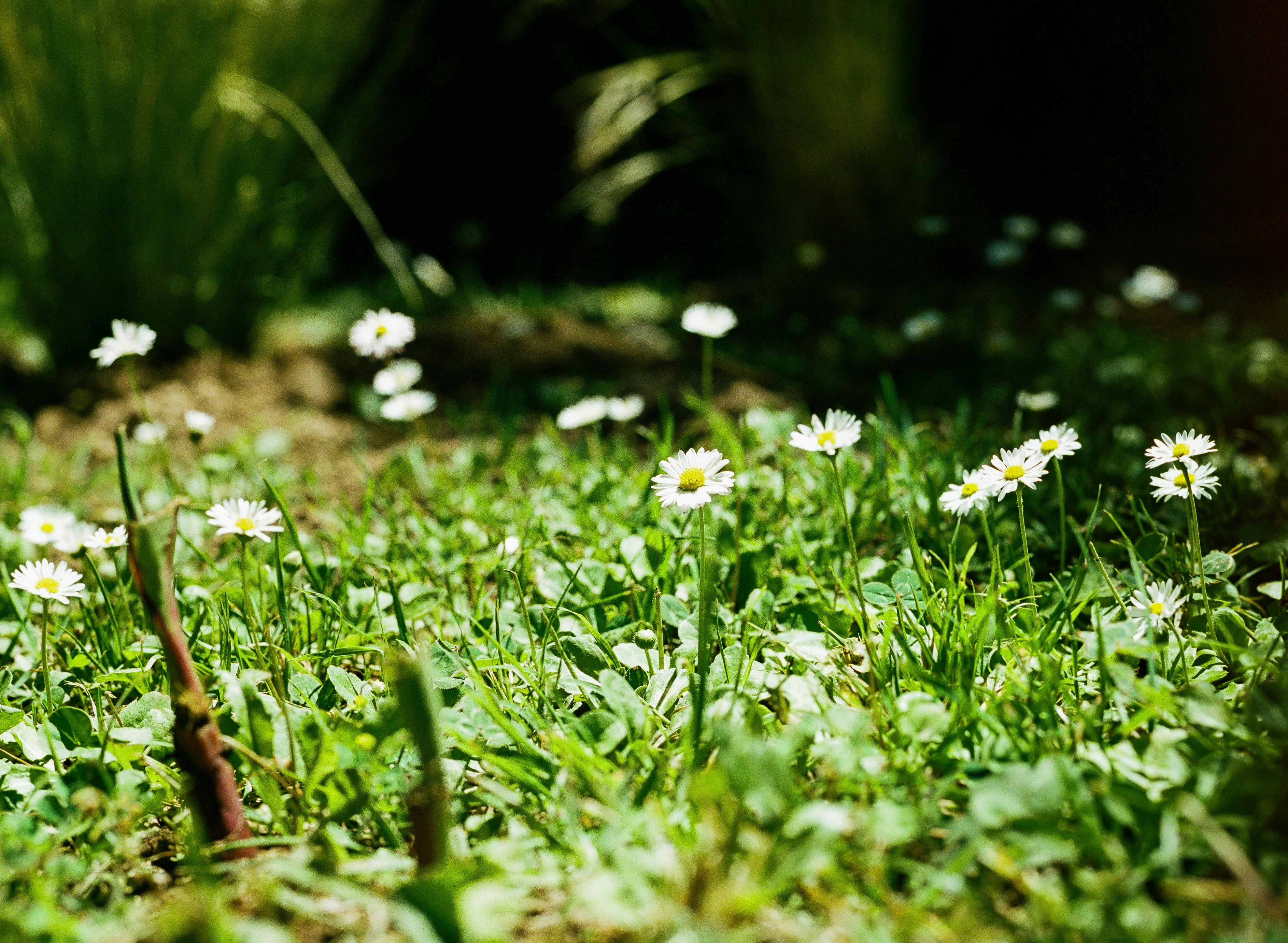 Photo by justalifein