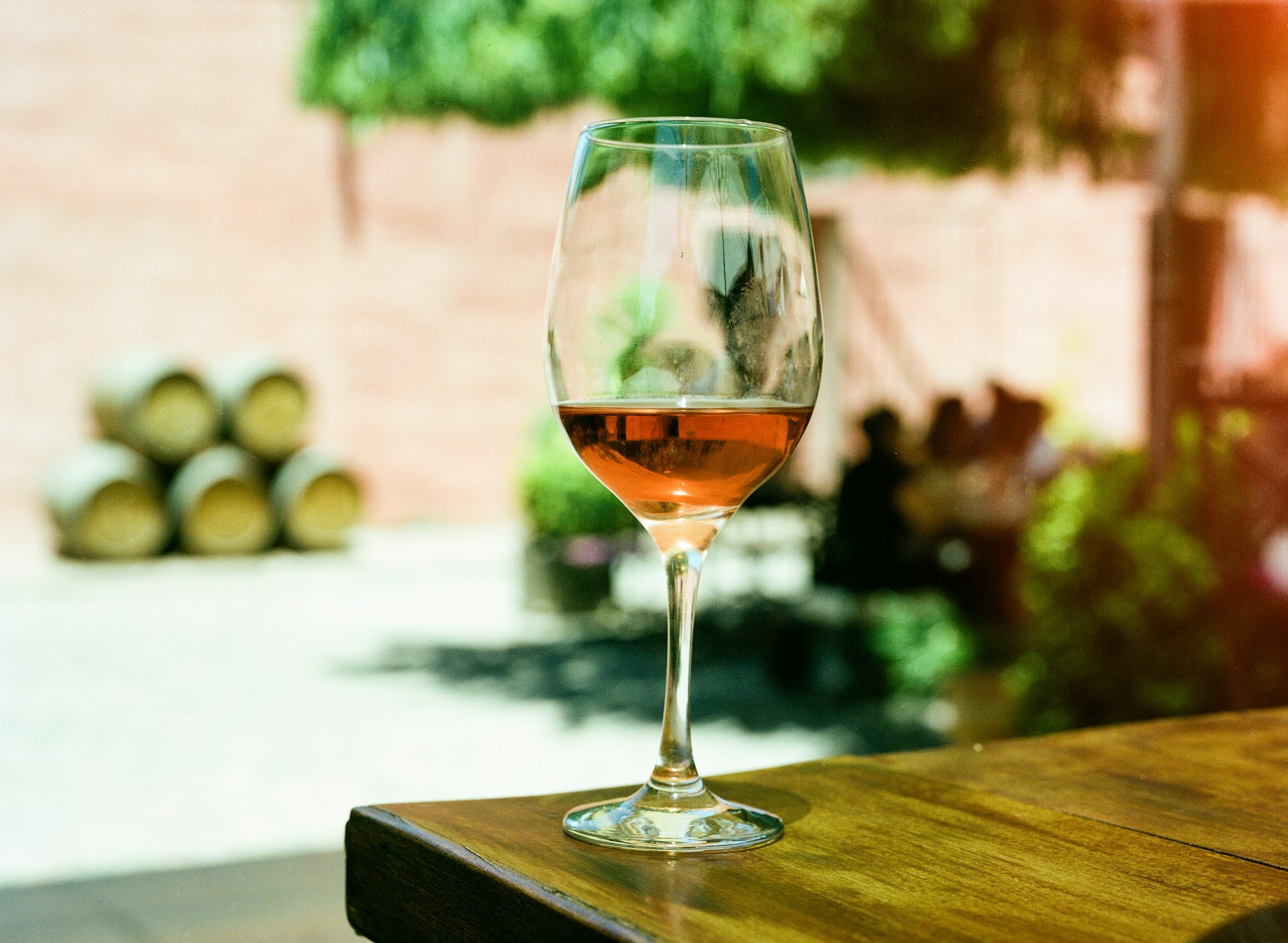 Gastronomie im Rheingau