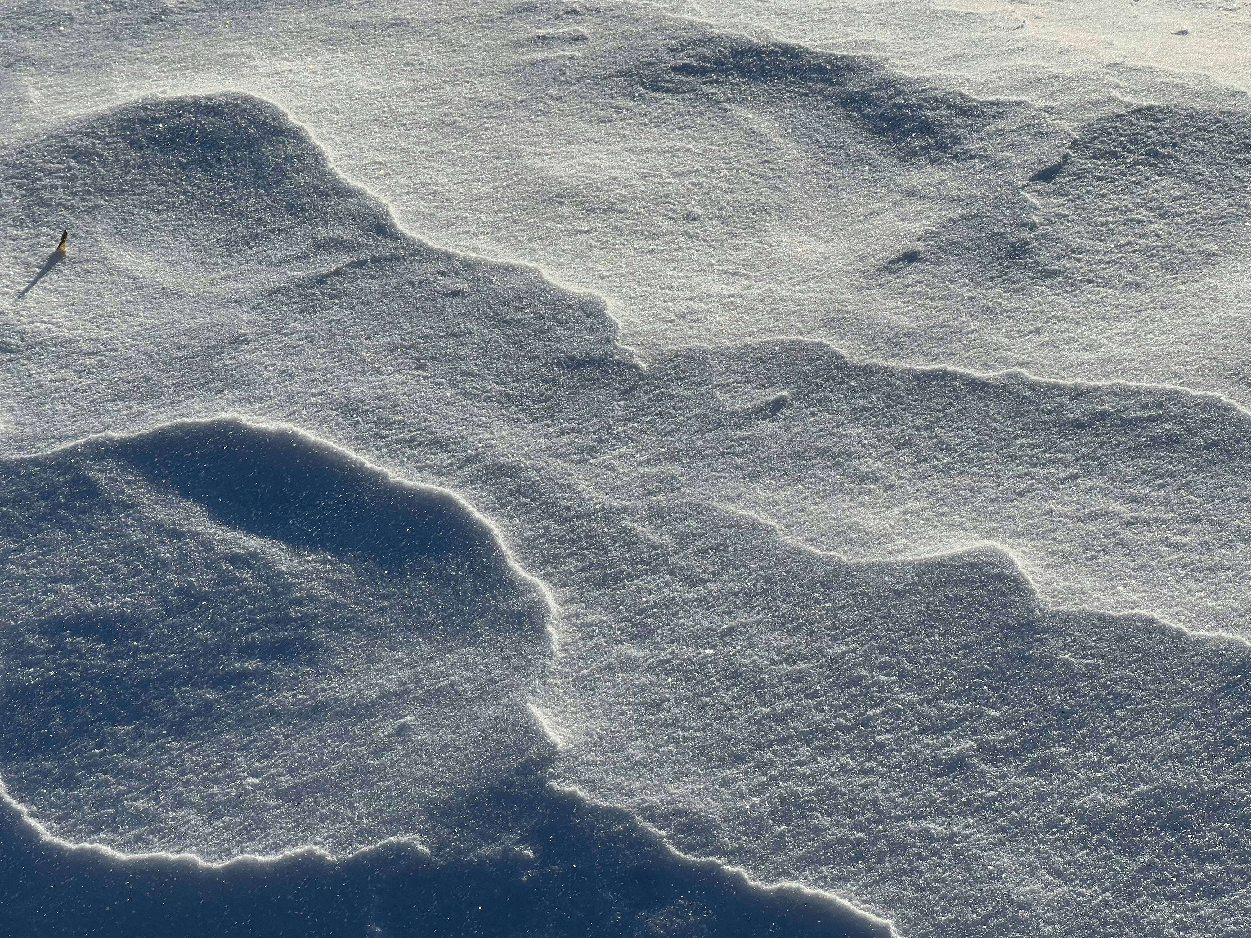 Photo by mihalyvereb