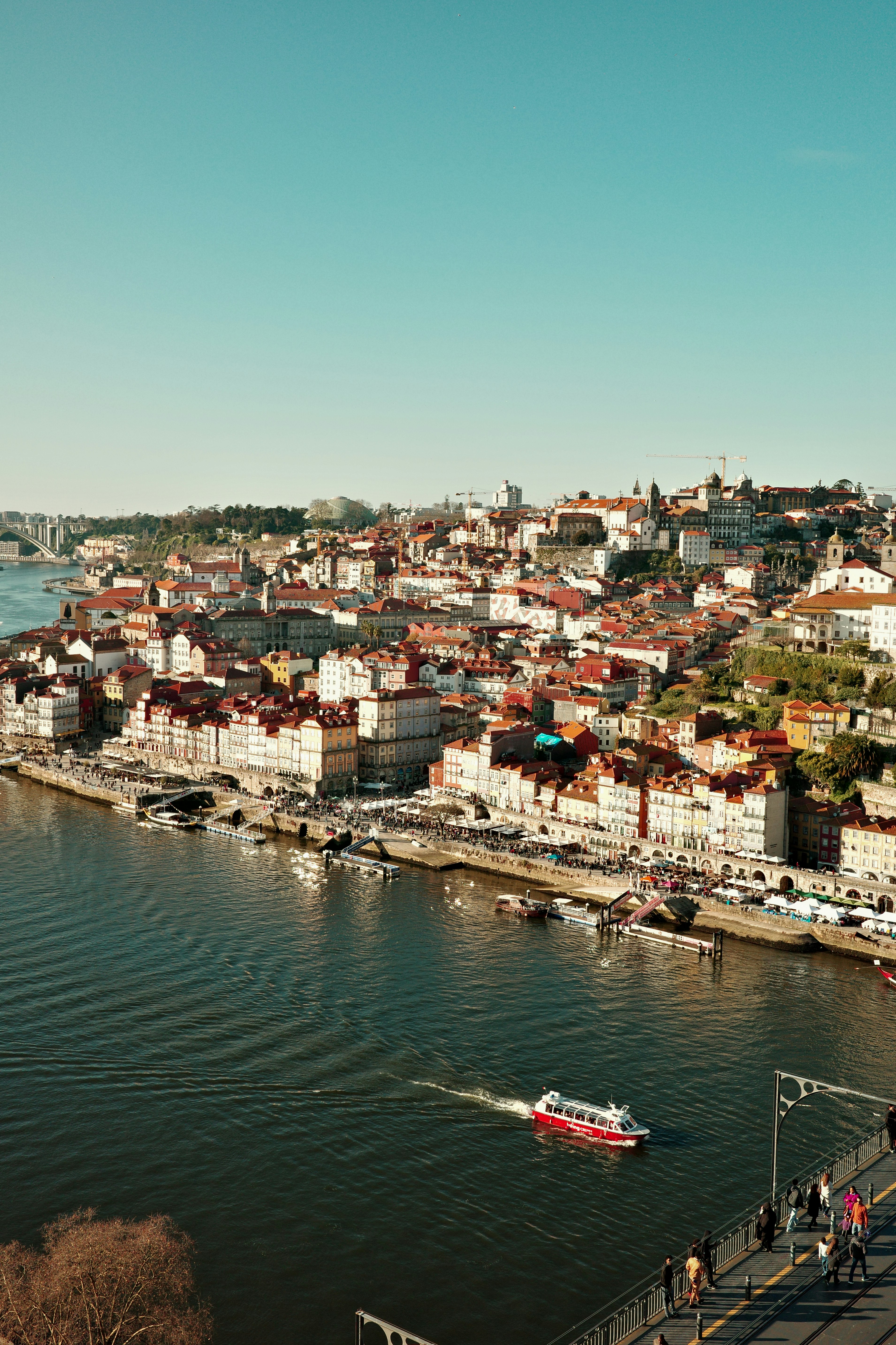 Photo by nachoswithacamera