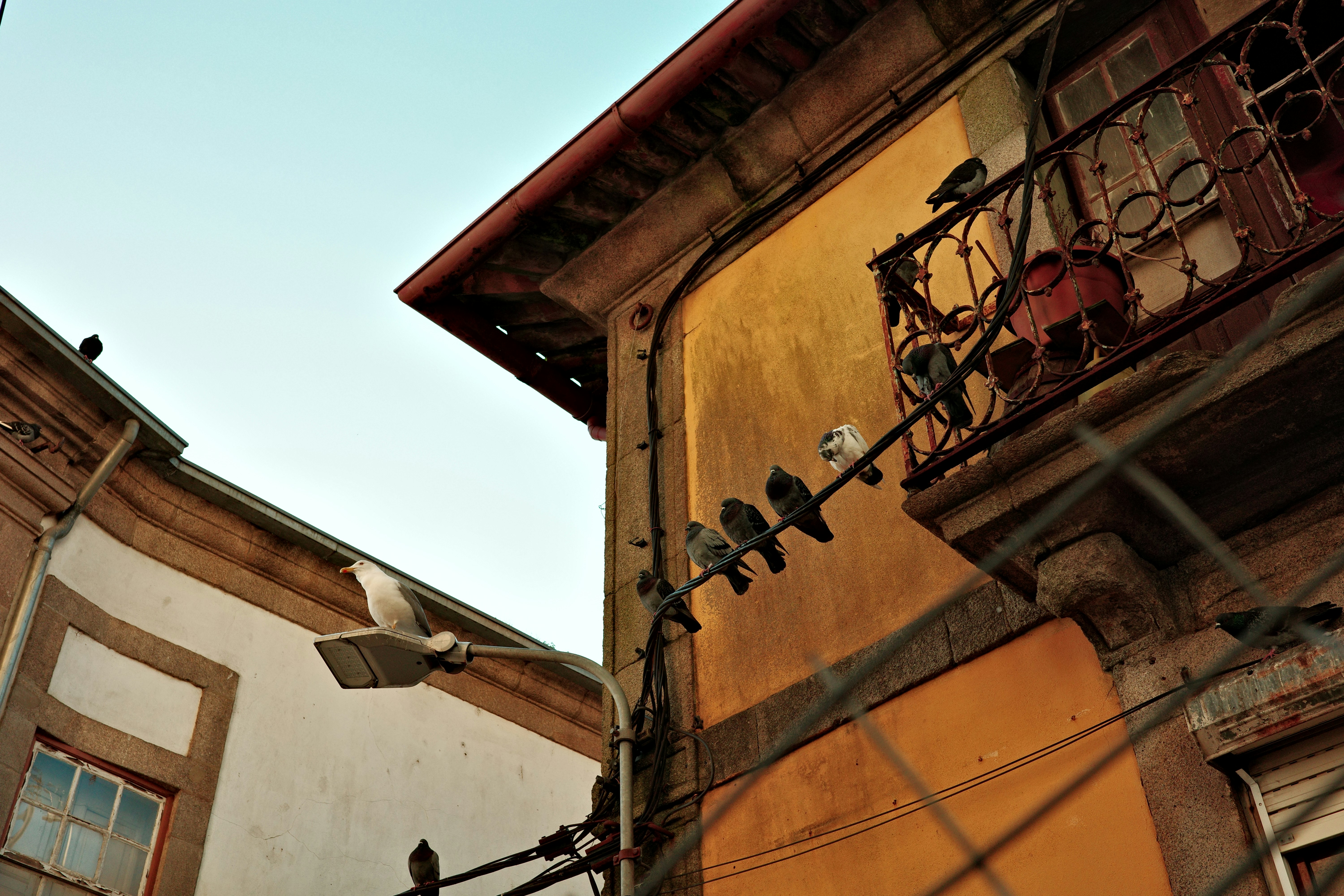 Photo by nachoswithacamera