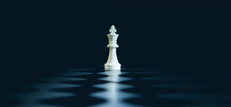 A single white chess king stands on a dark board.