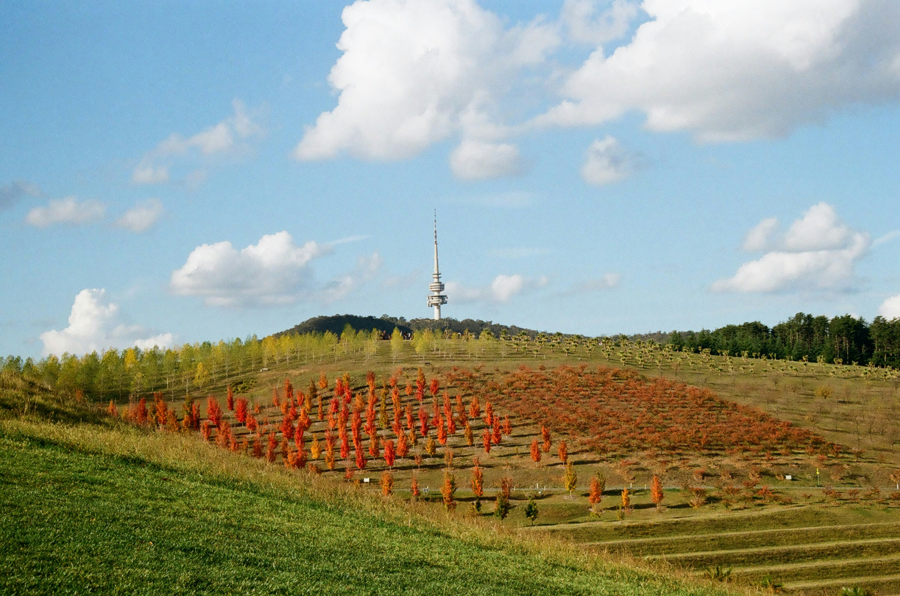 Uma torre de rádio está situada em uma colina com vista para um campo.