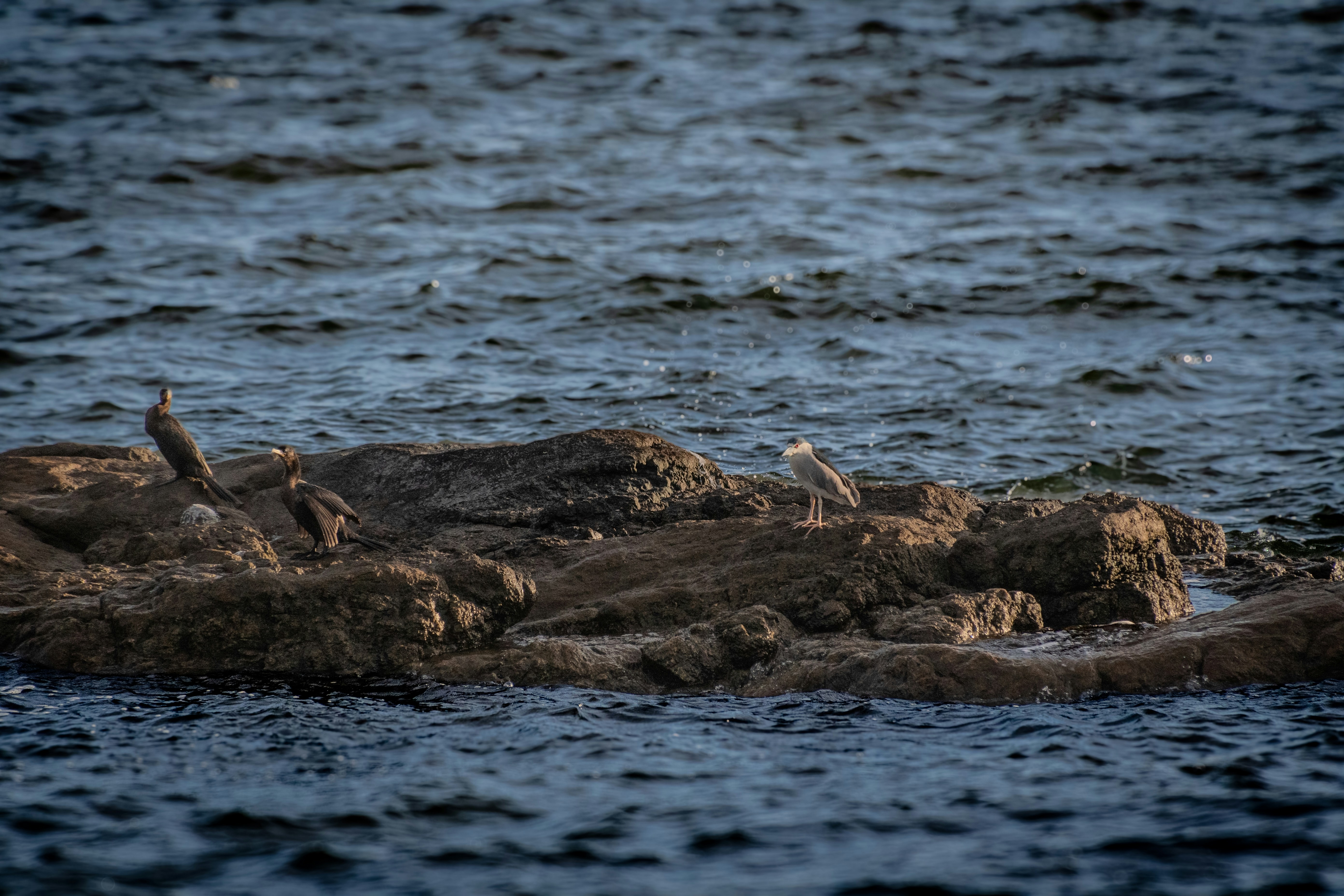 Photo by baltasarhenderson