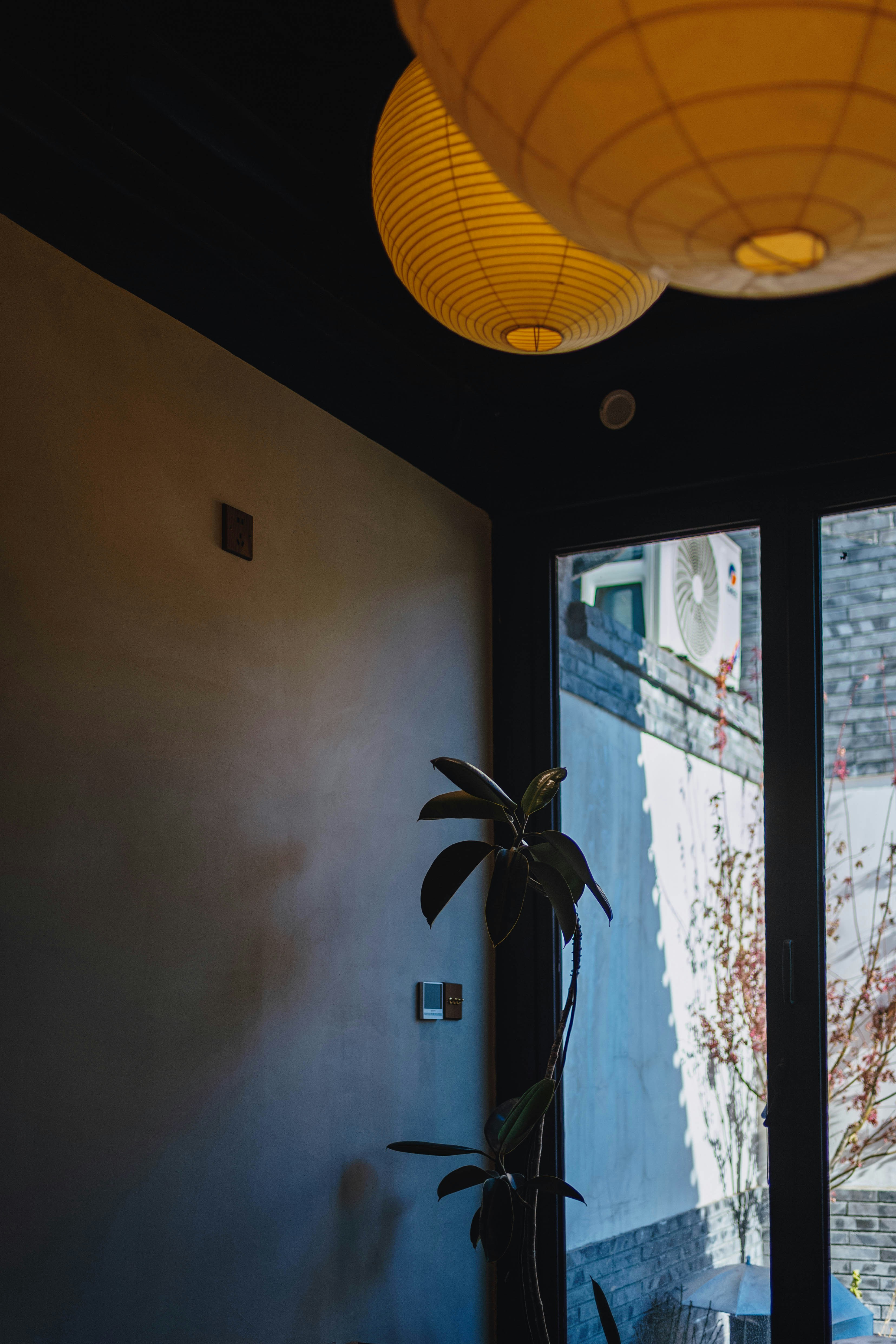 Photo by tommaomaoer