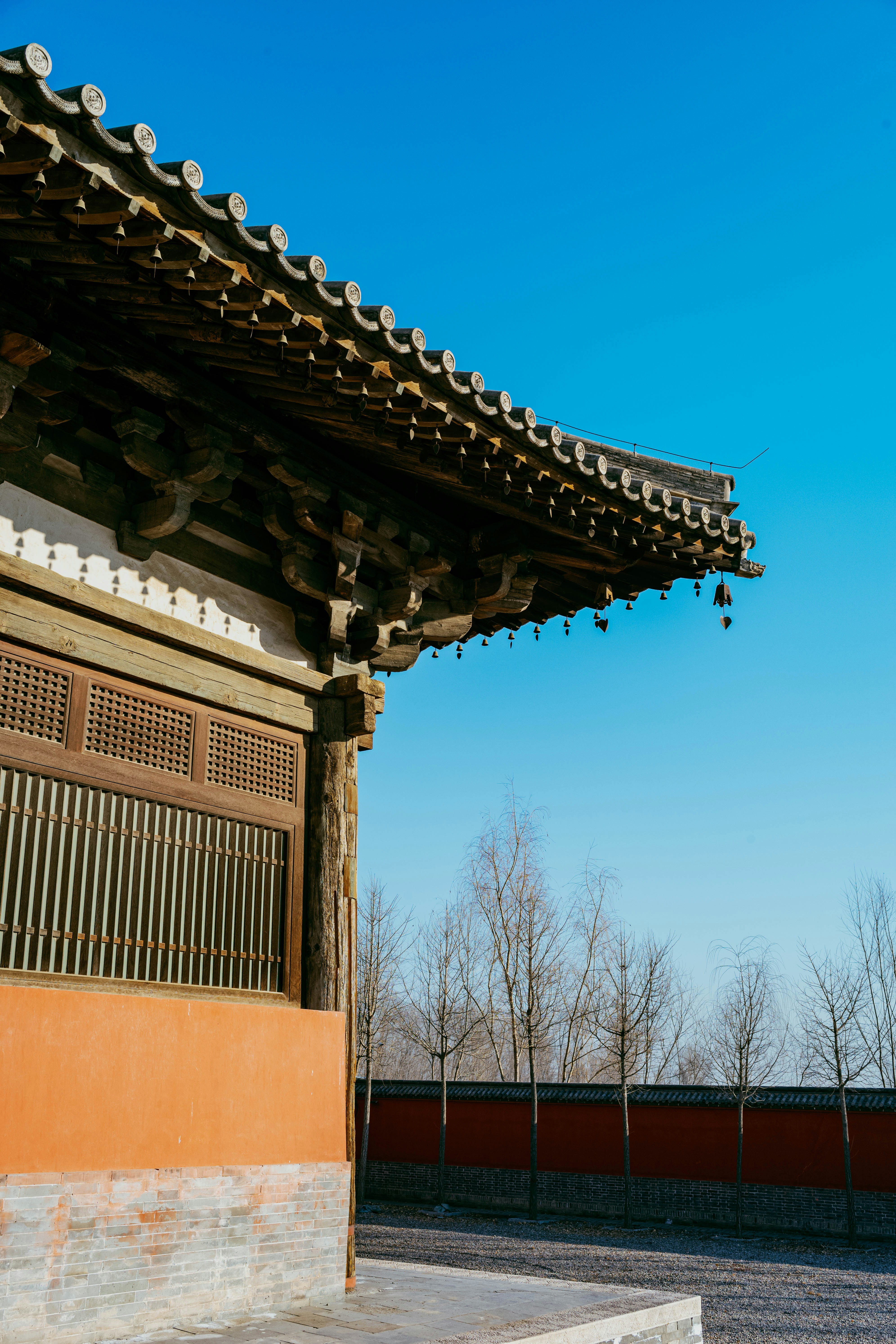 Photo by tommaomaoer
