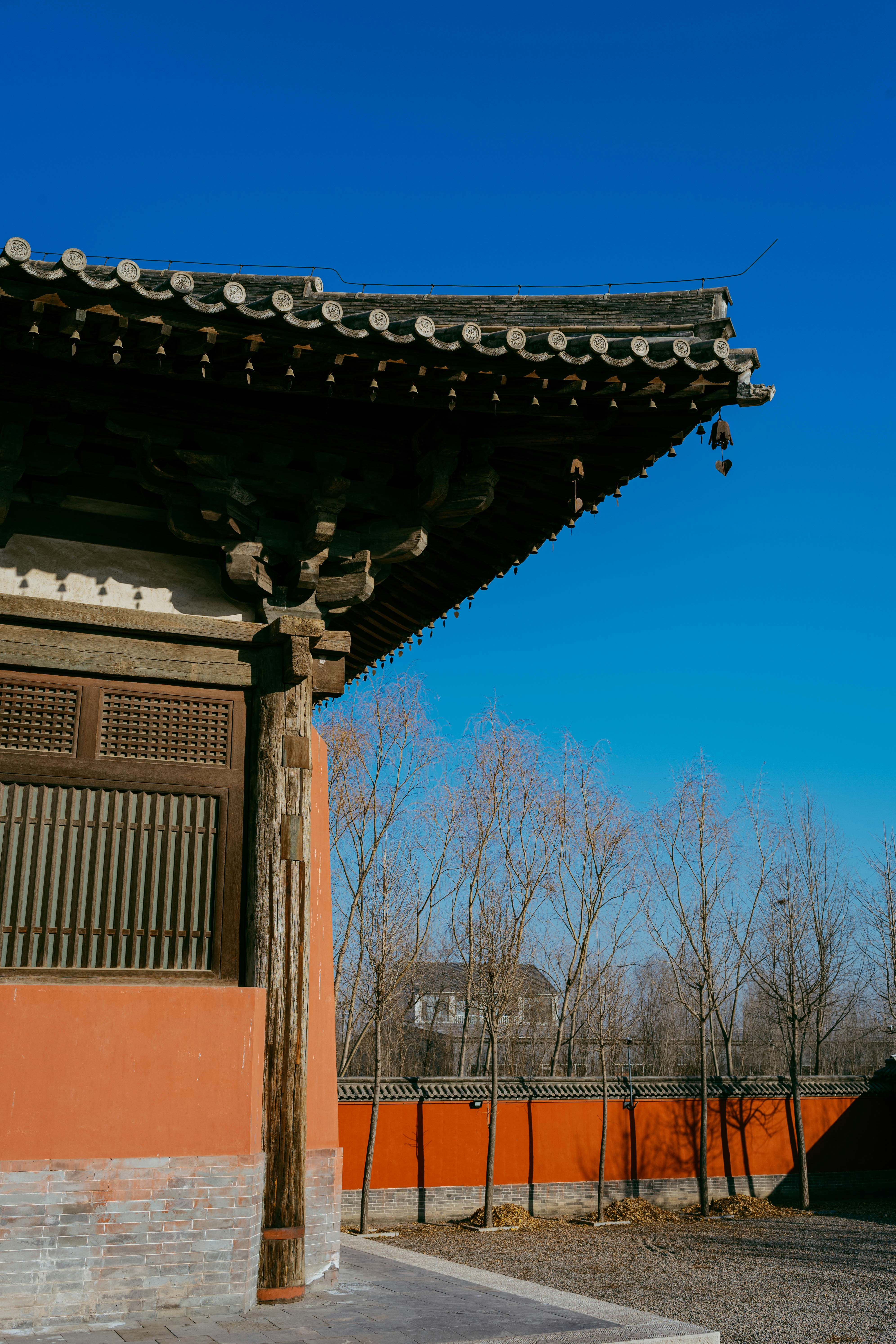 Photo by tommaomaoer