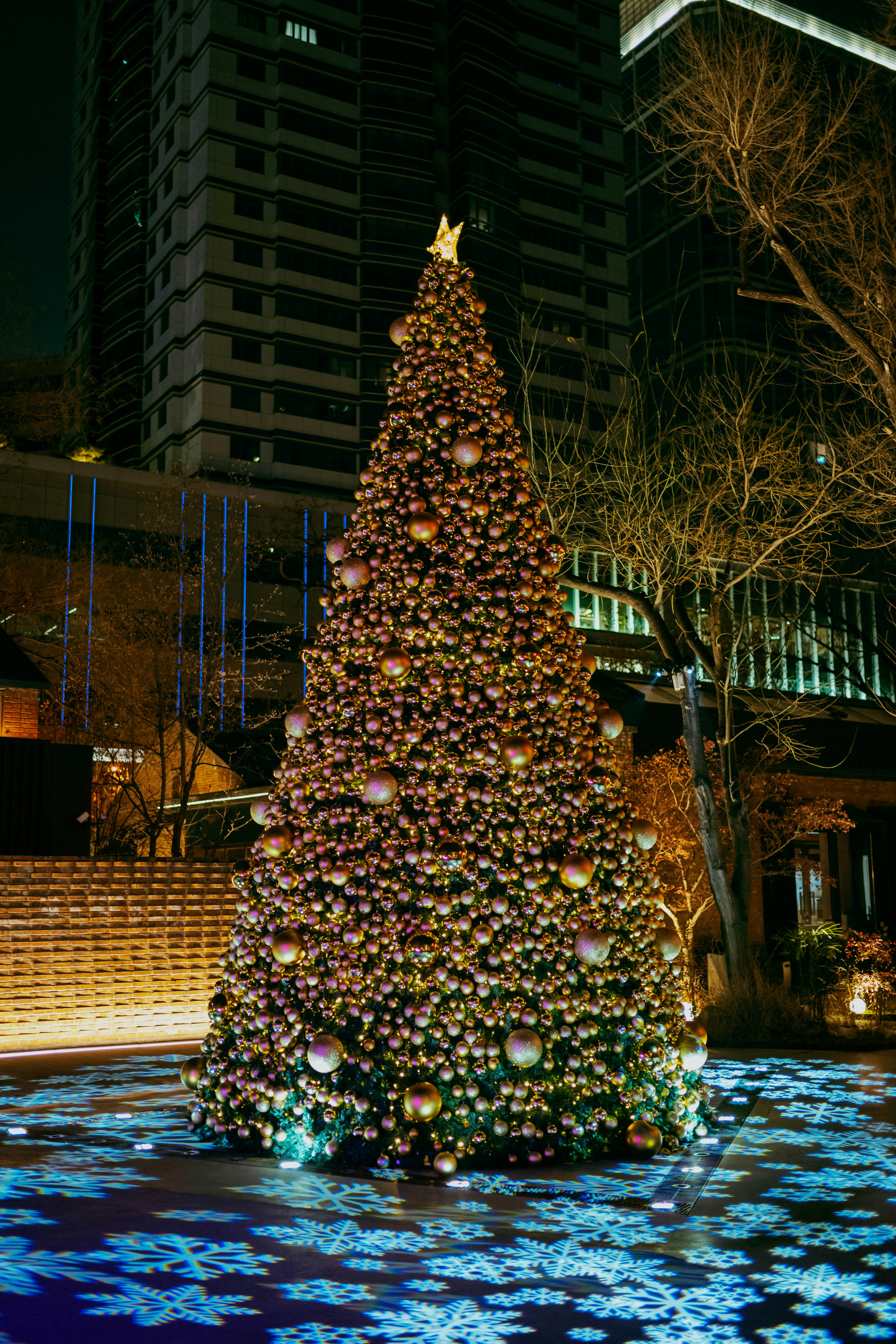 A large, decorated christmas tree at night.