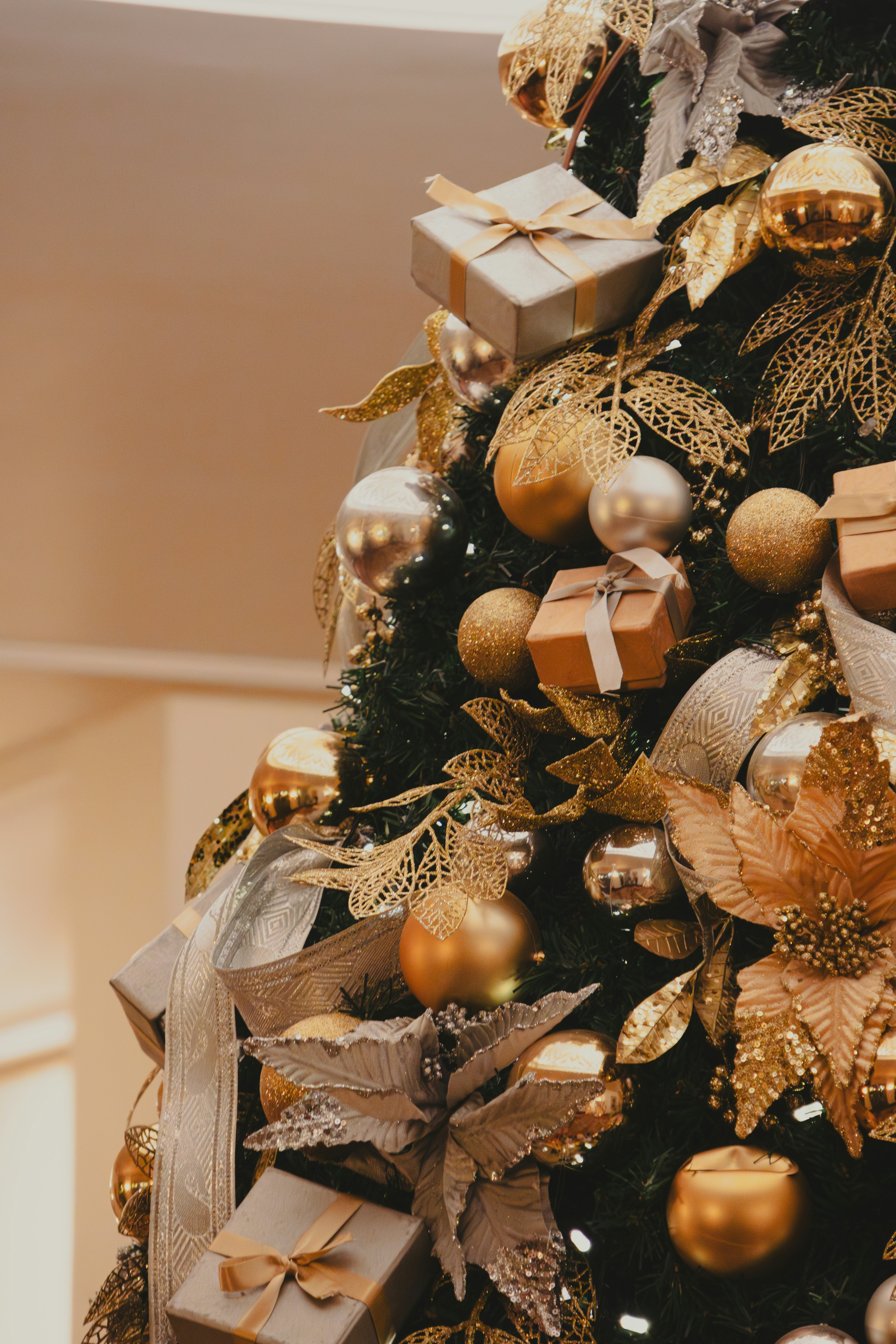 Photo by sameer_srivastava