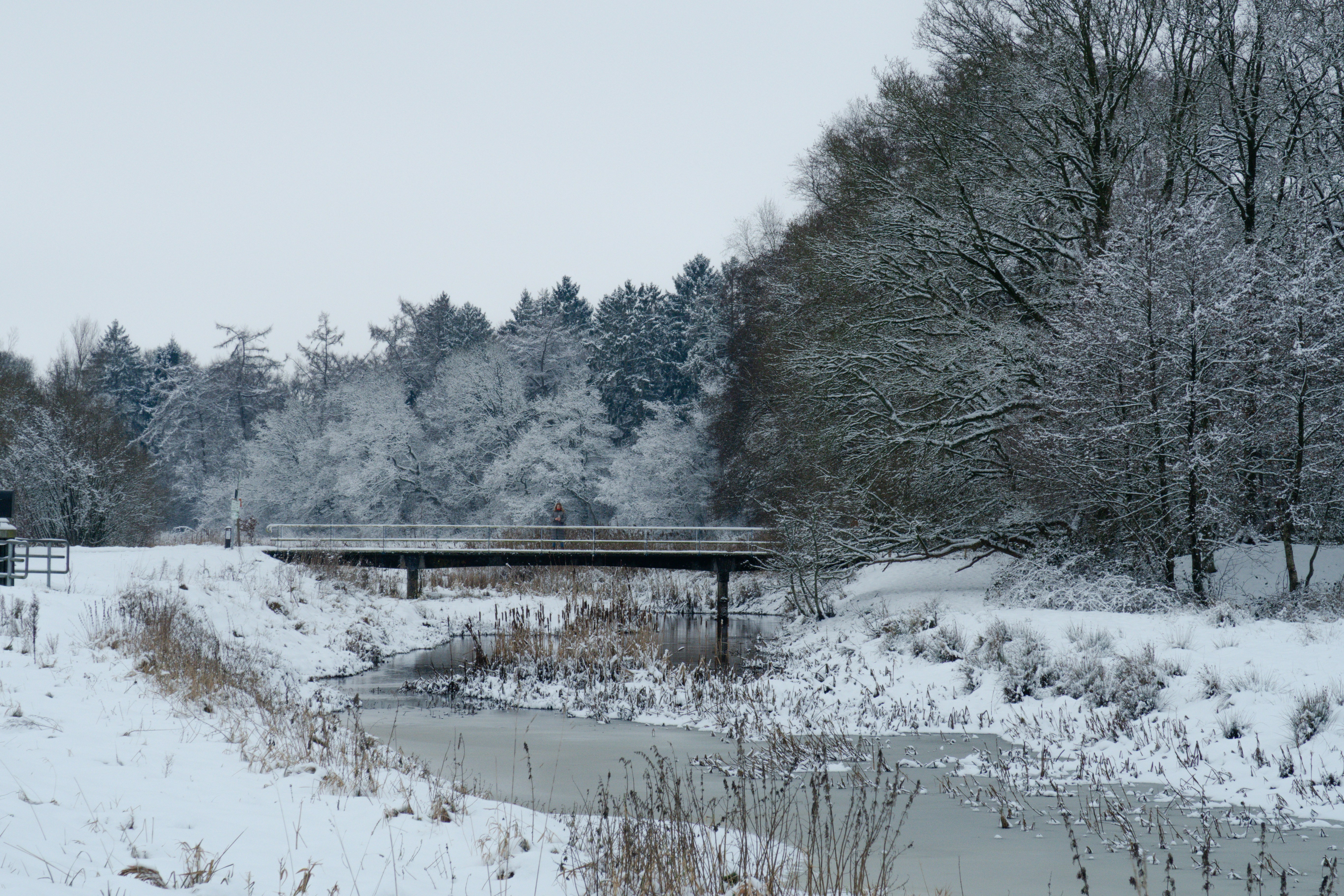 Snowy landscape with a bridge over a frozen stream.