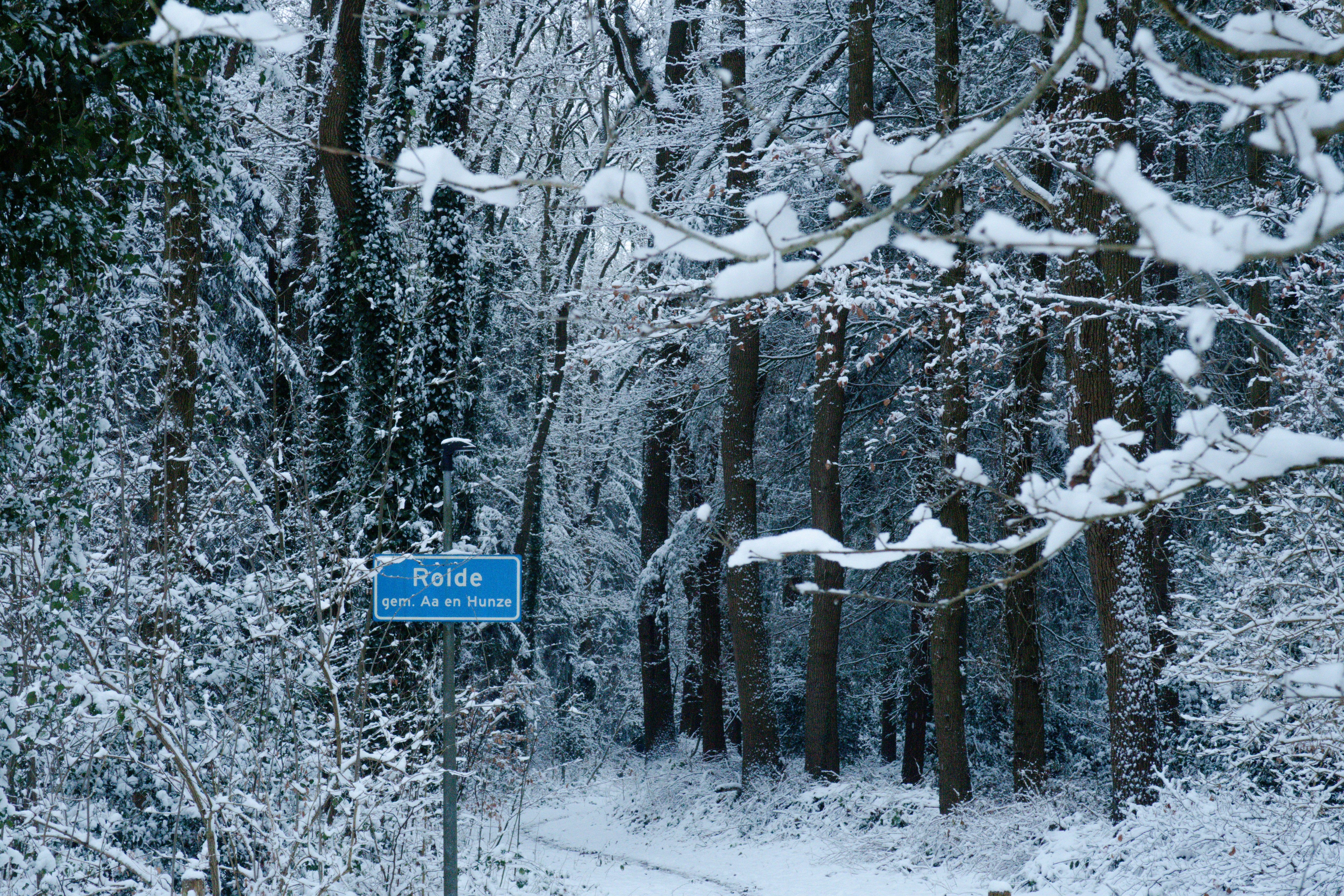 Afbeelding van Rolde