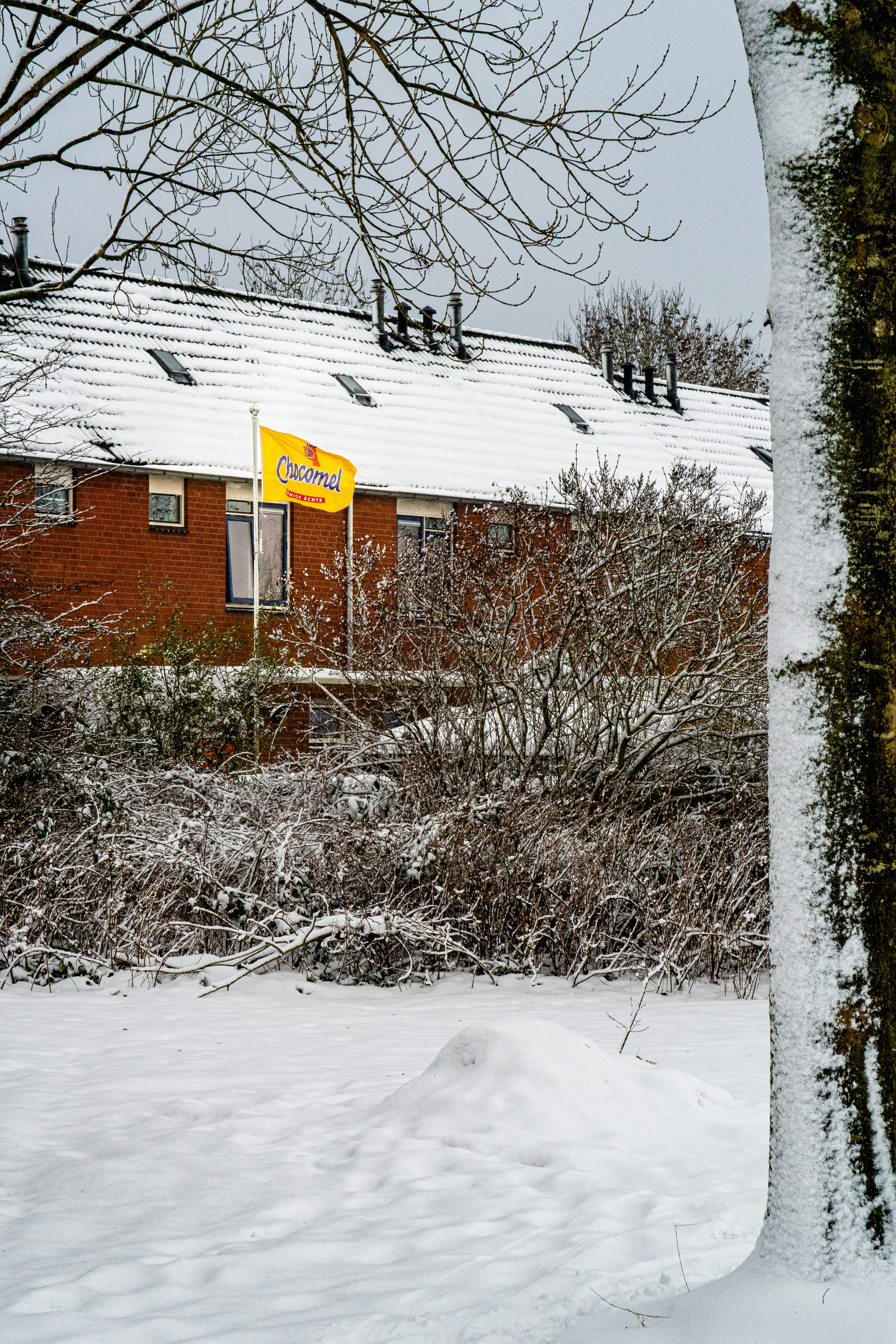 Snowy day with a yellow flag on a building.