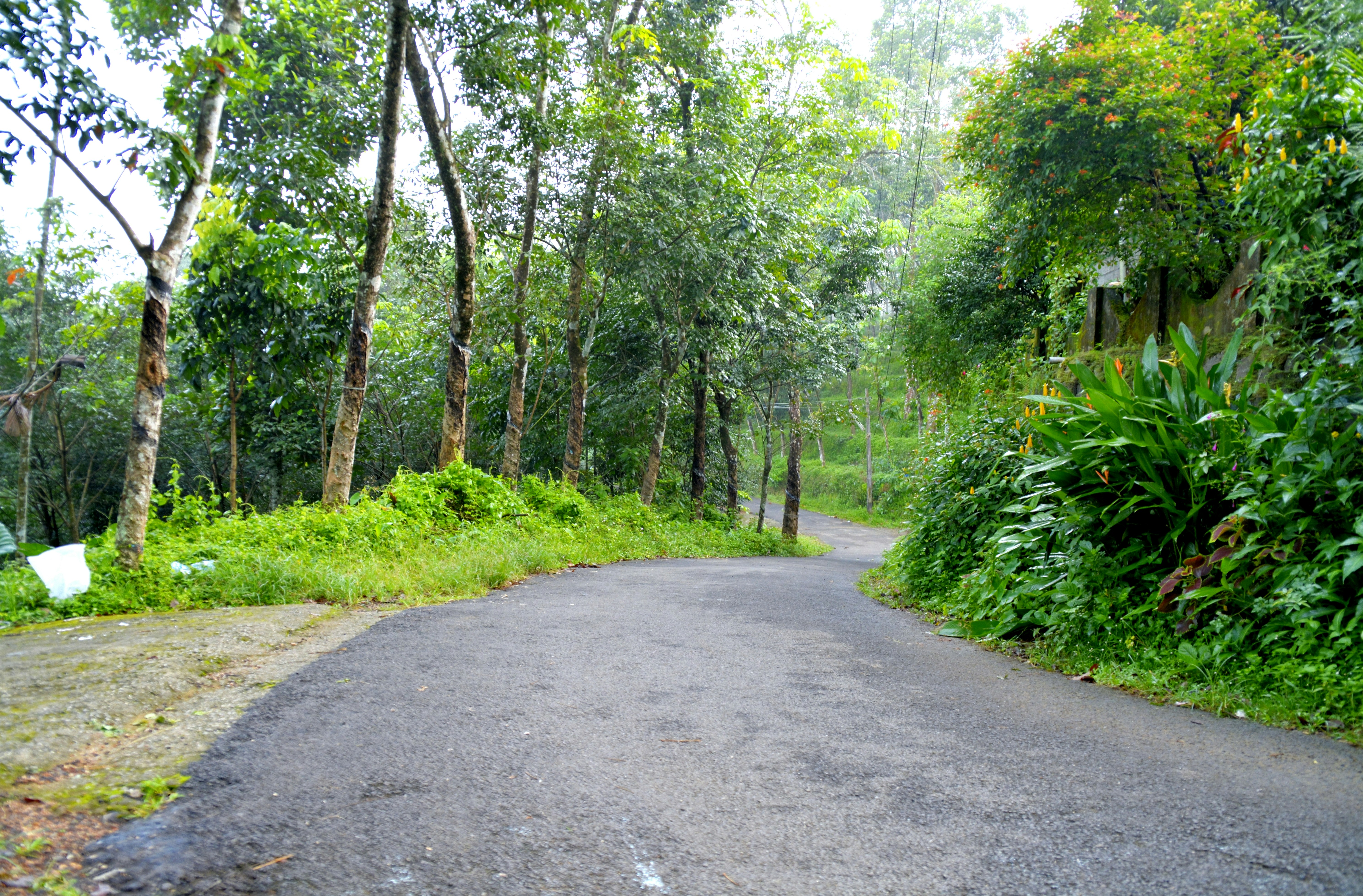 Photo by jibinsamuelphotography