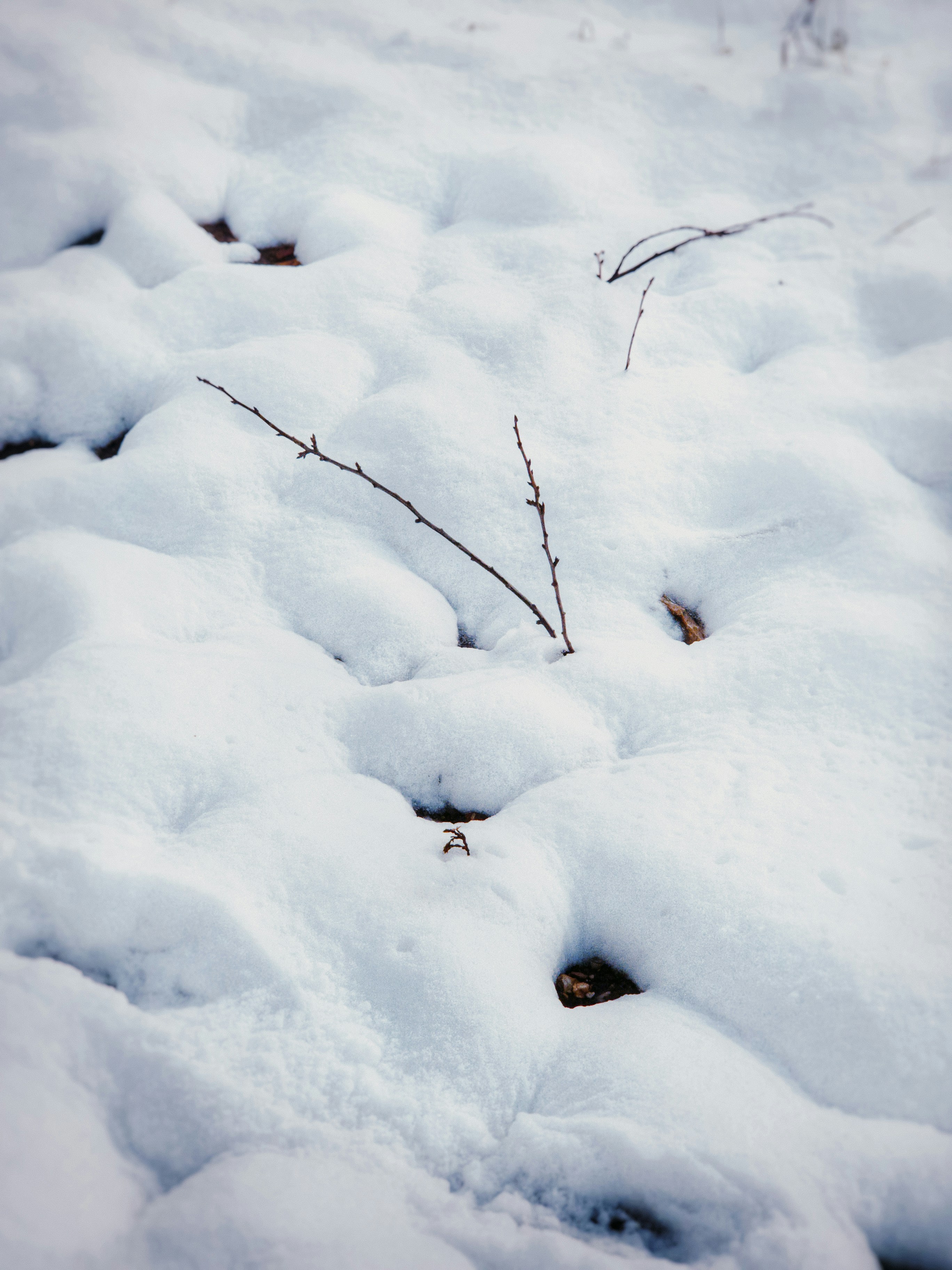 Photo by belmin_26_aljovic