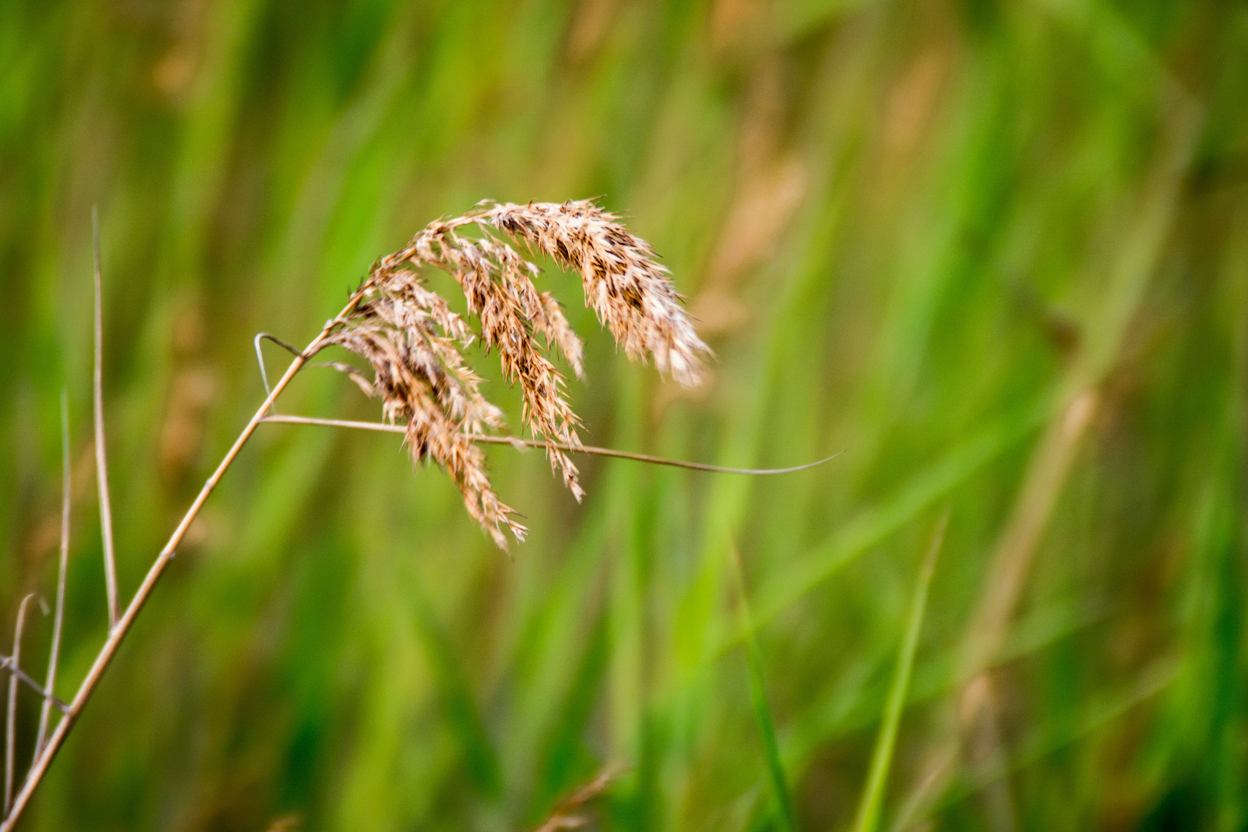 Photo by jibinsamuelphotography