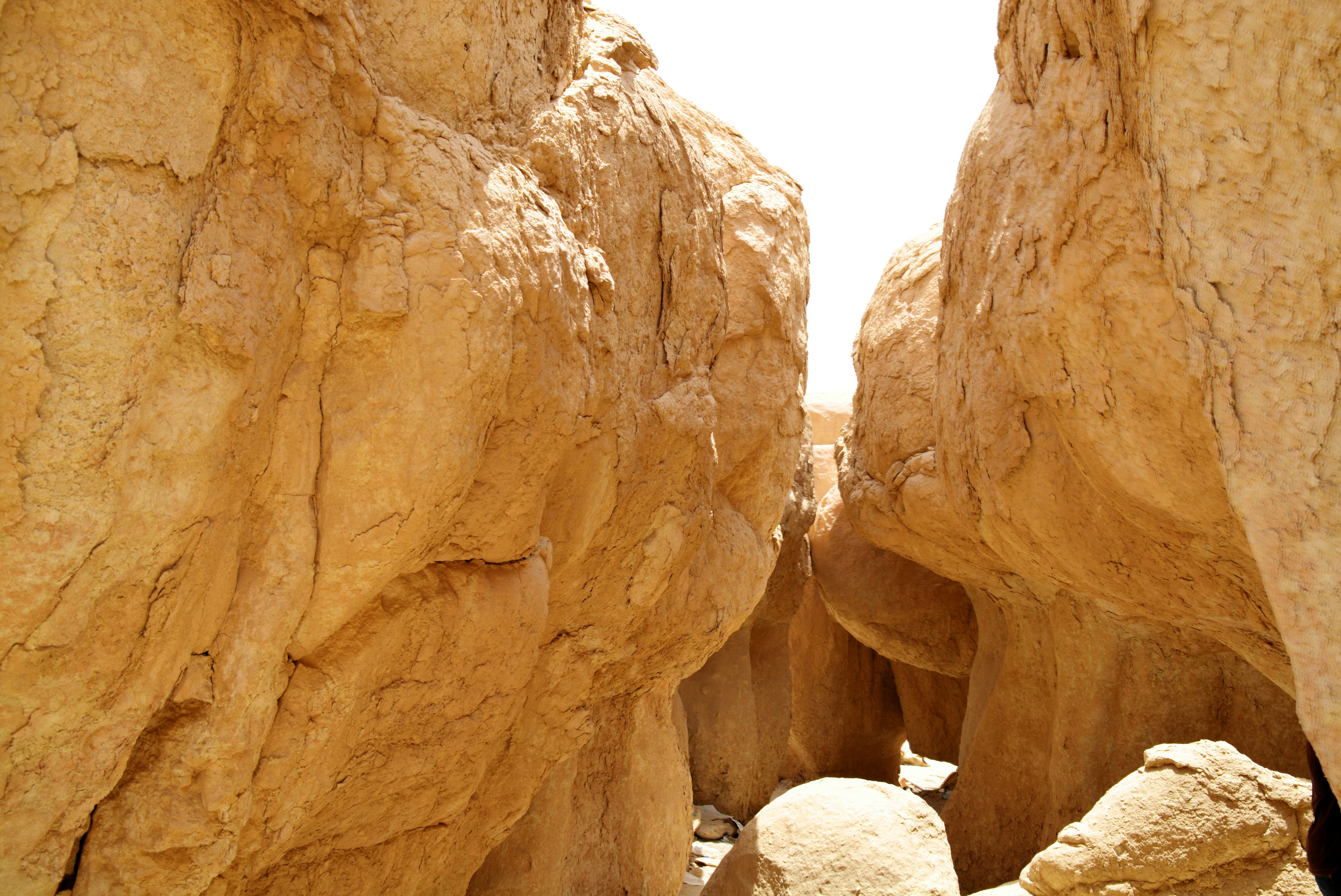 Photo by jibinsamuelphotography