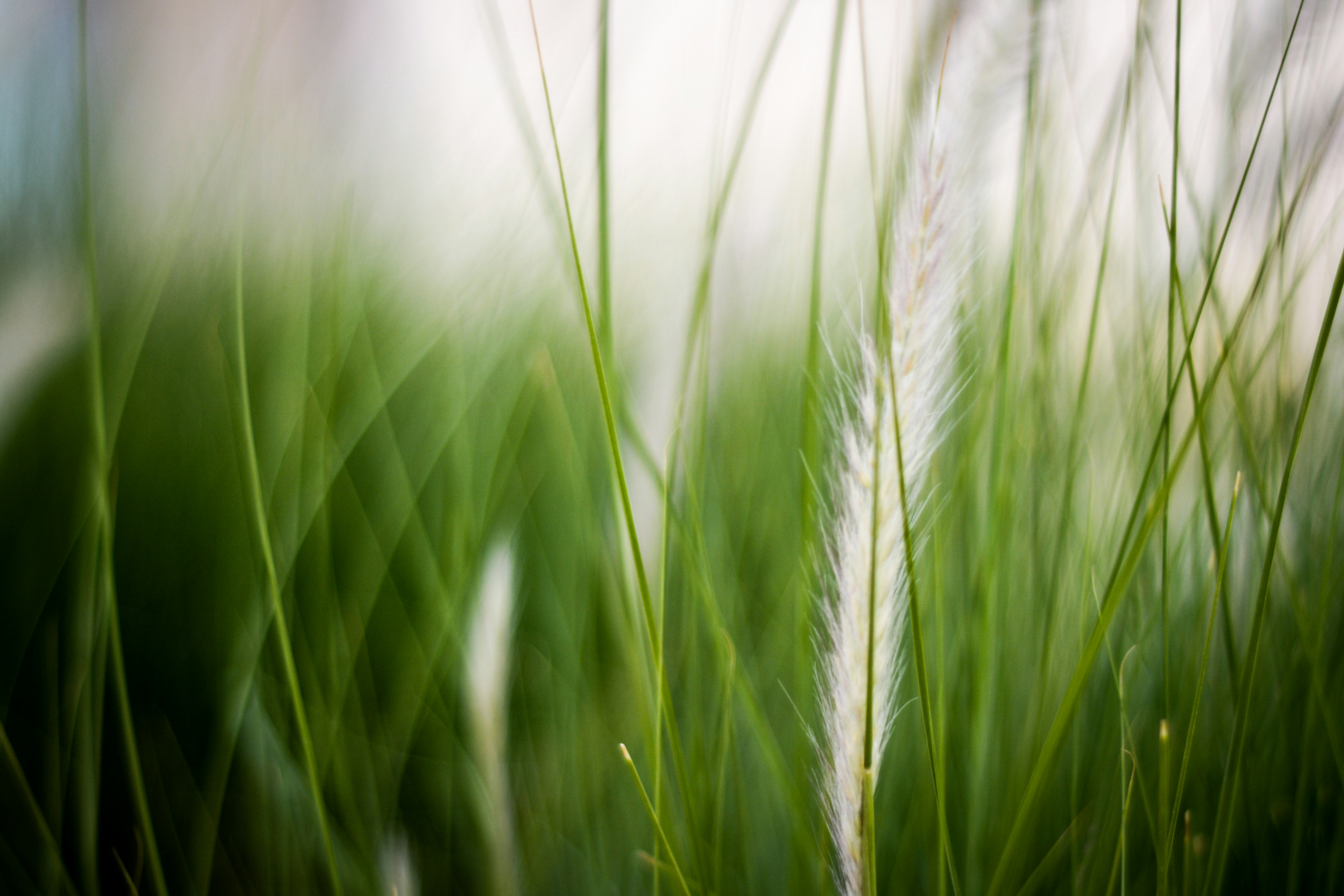 Photo by jibinsamuelphotography