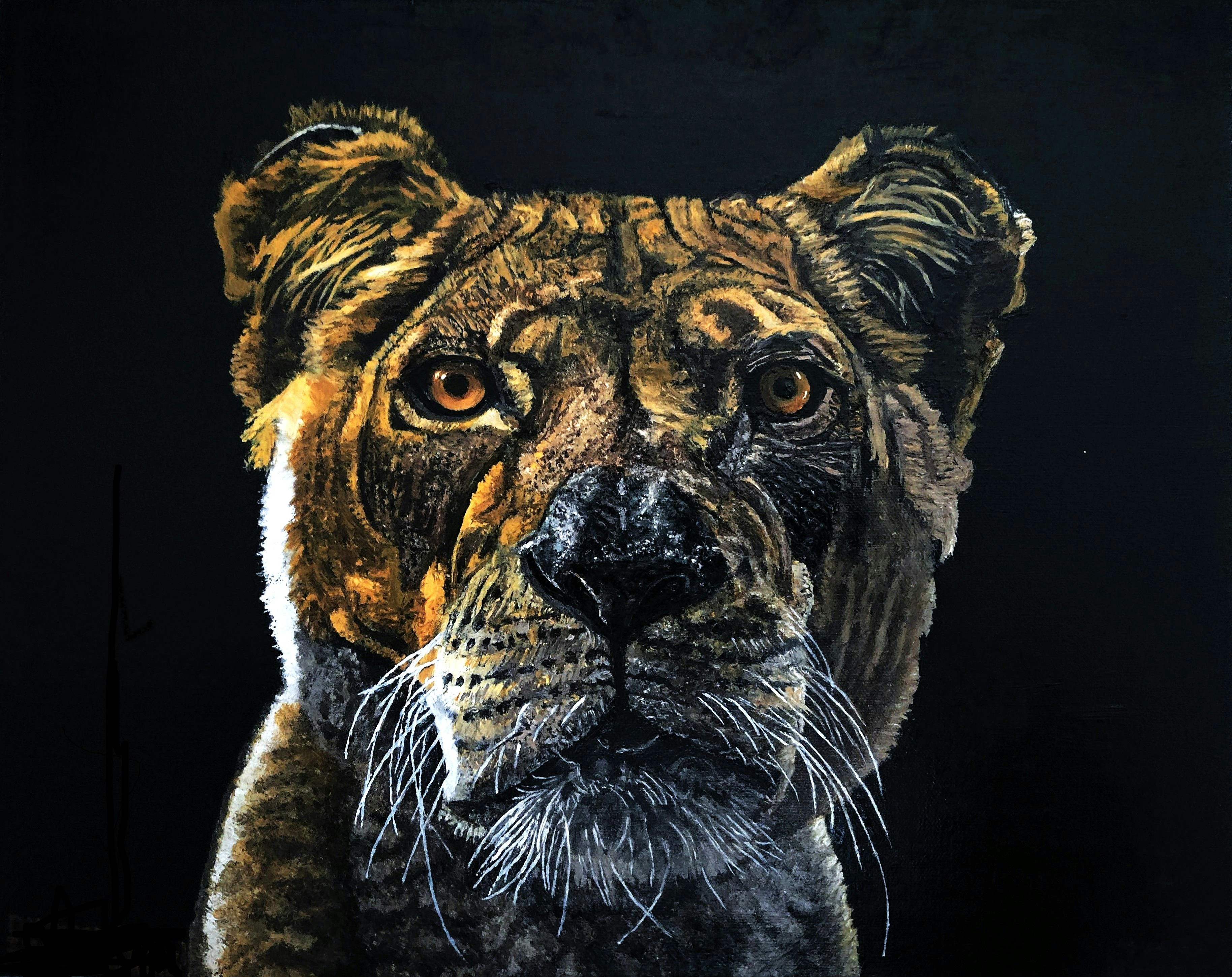 Gros plan du visage d’une lionne sur fond noir.