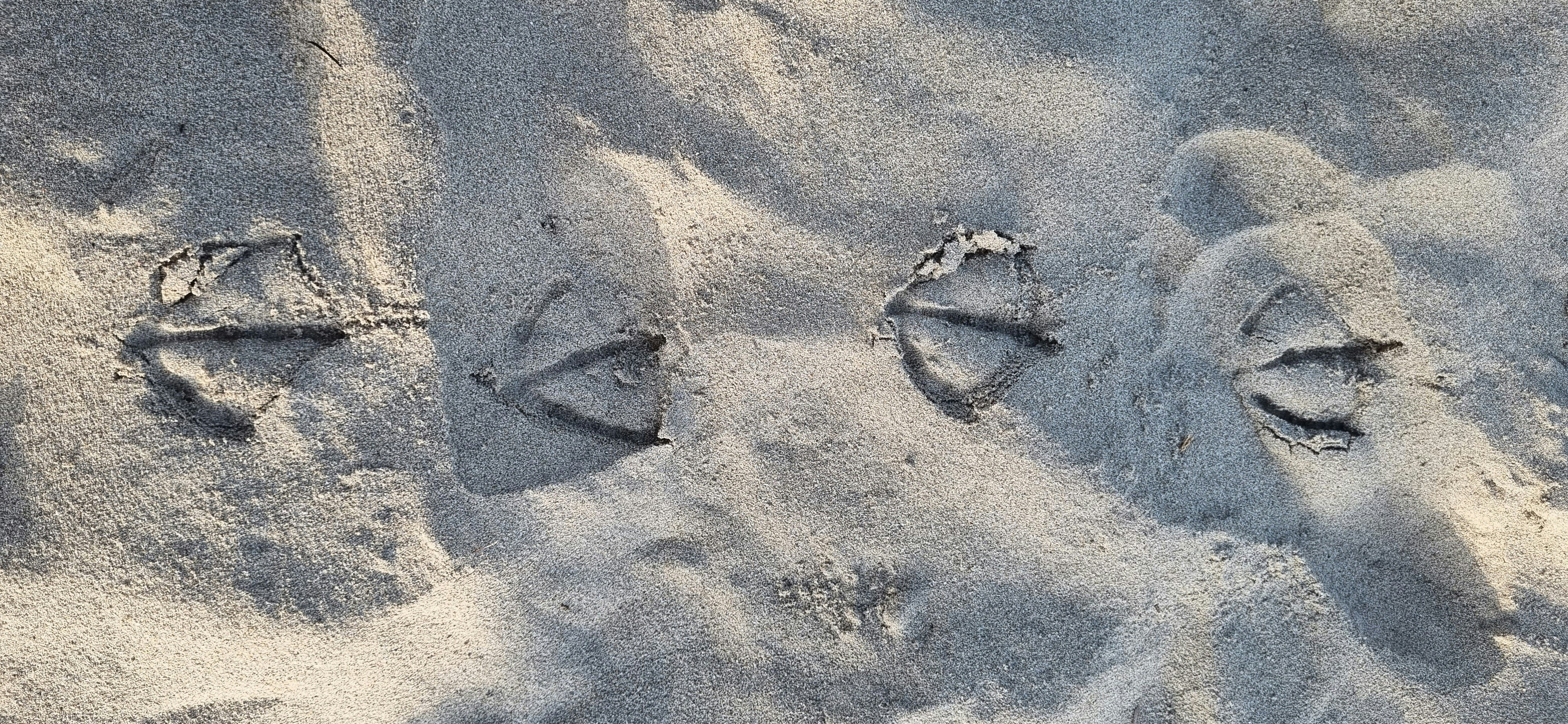 Photo by martinscardoso_unsplash