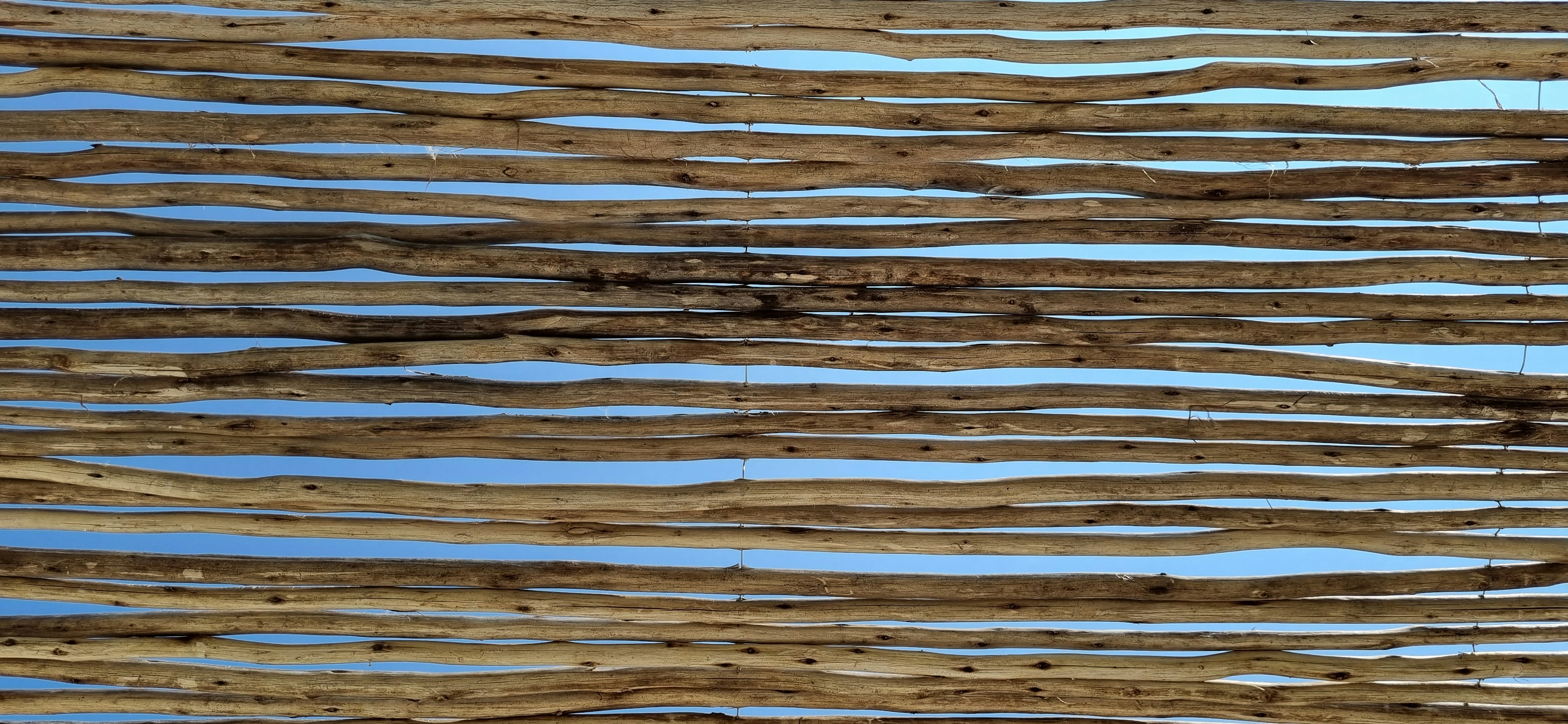 Photo by martinscardoso_unsplash